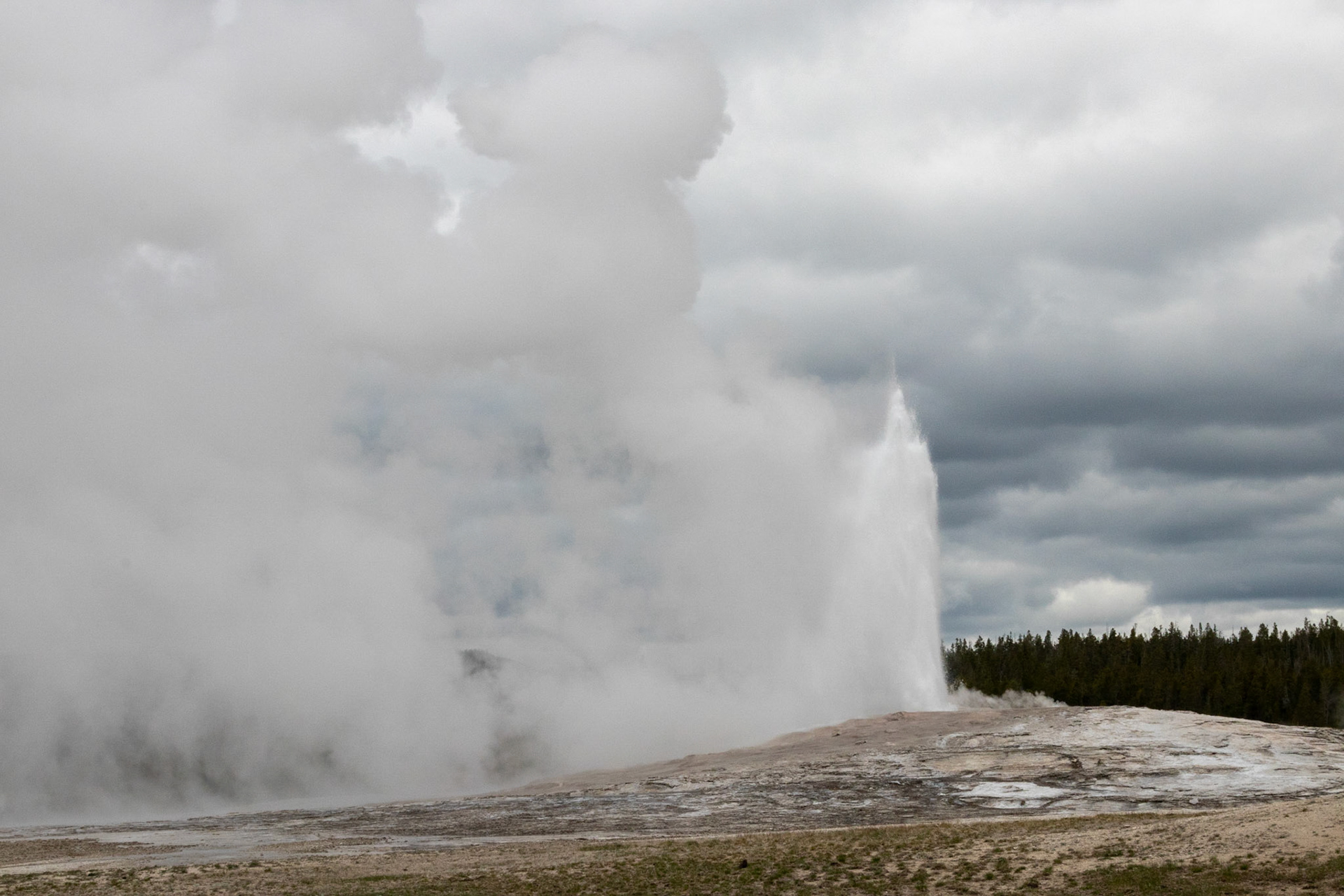 Old Faithful erupting