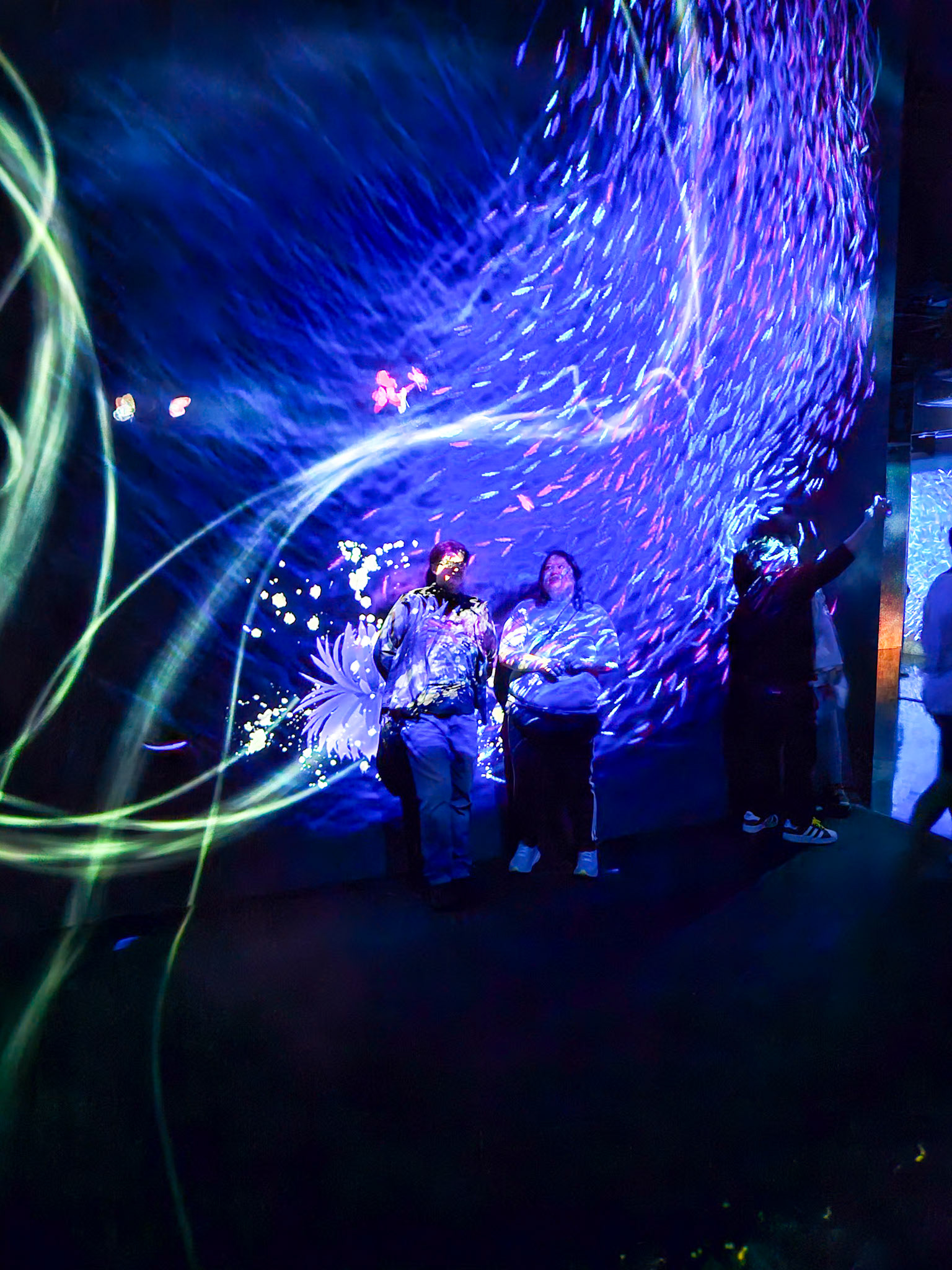 Teamlab Borderless