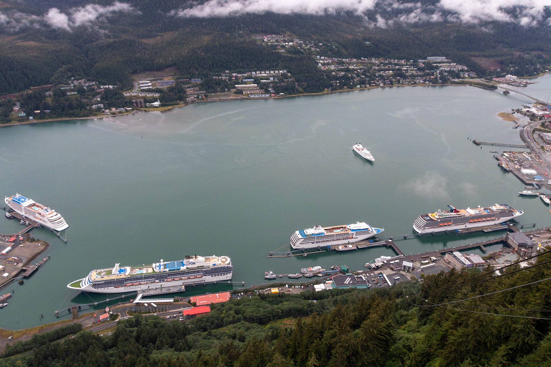 a view of Juneau Harbour from the Mt Robert's nature center after riding the tramway to the top. There were ships from Silver Seas cruise lines (silver musse), princess (island princess),  Seven Seas (Mariner), Carnival (Legend), and Windward cruises (Star Legend, in the Harbour)