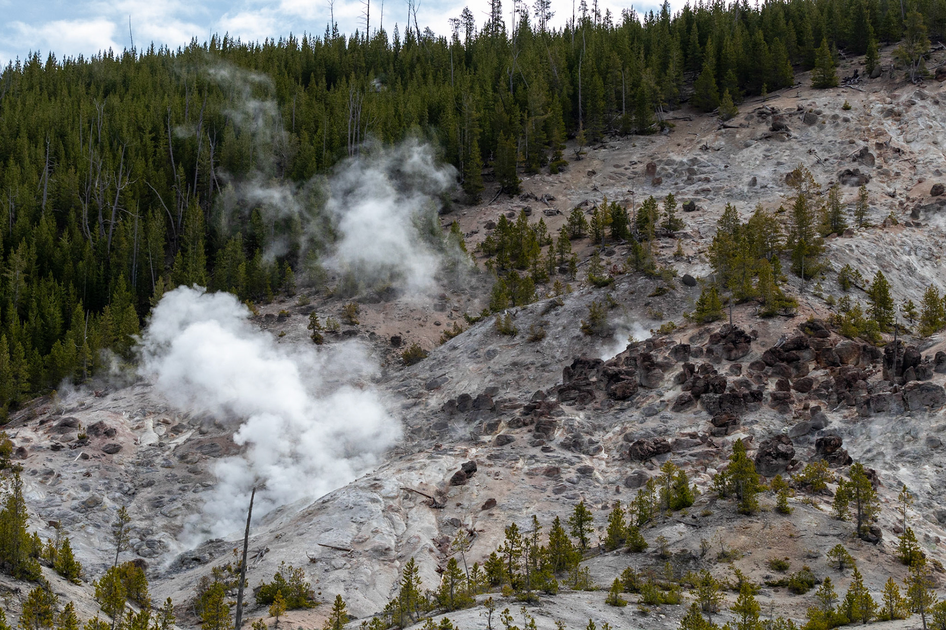 The Howling Mountain