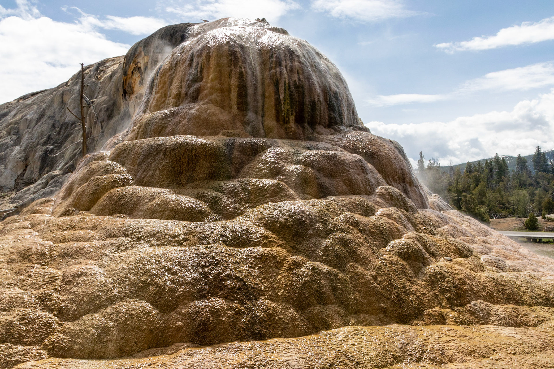 Mammoth Hot Springs Orange Spring Mound