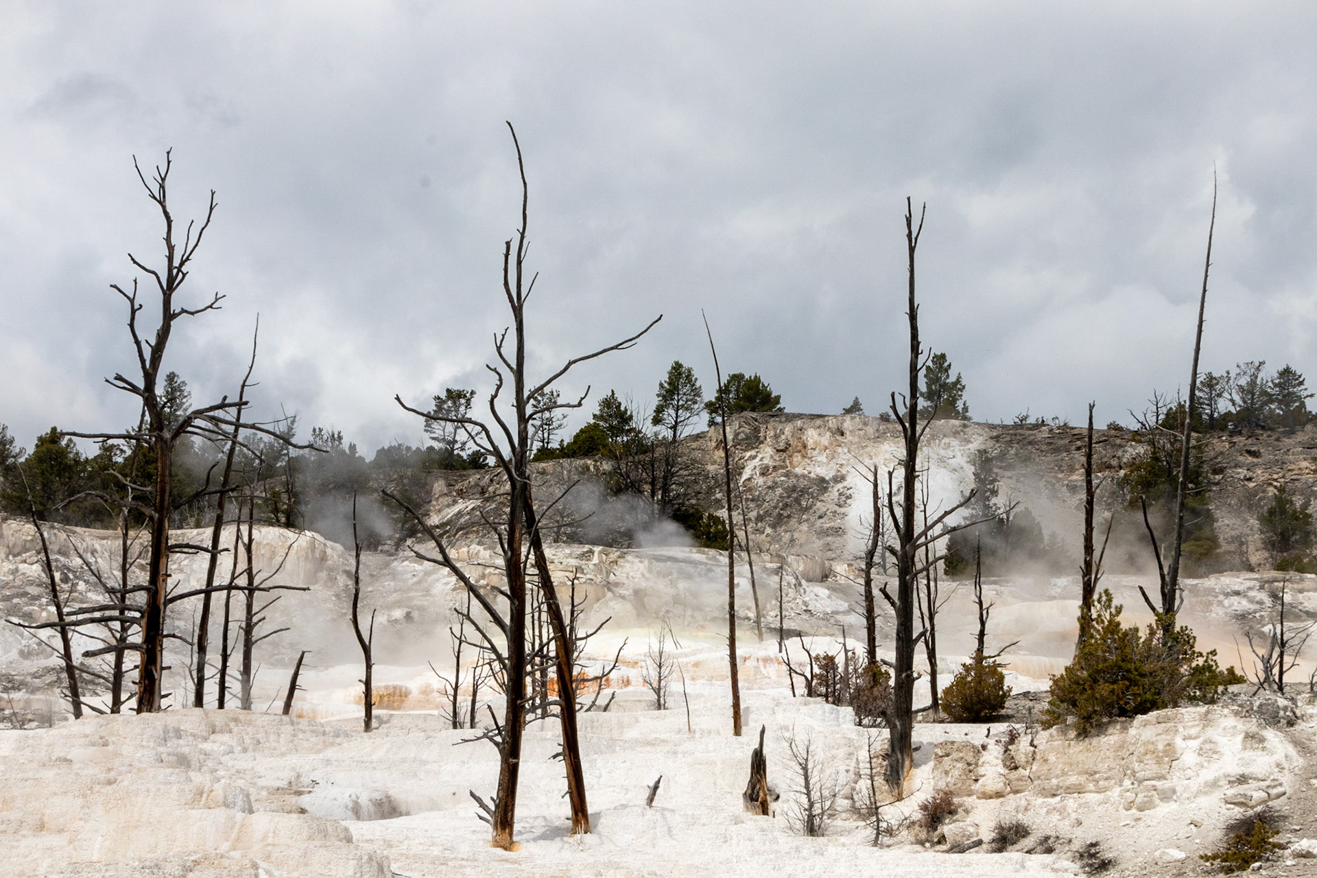 Mammoth Hot Springs Highland Spring