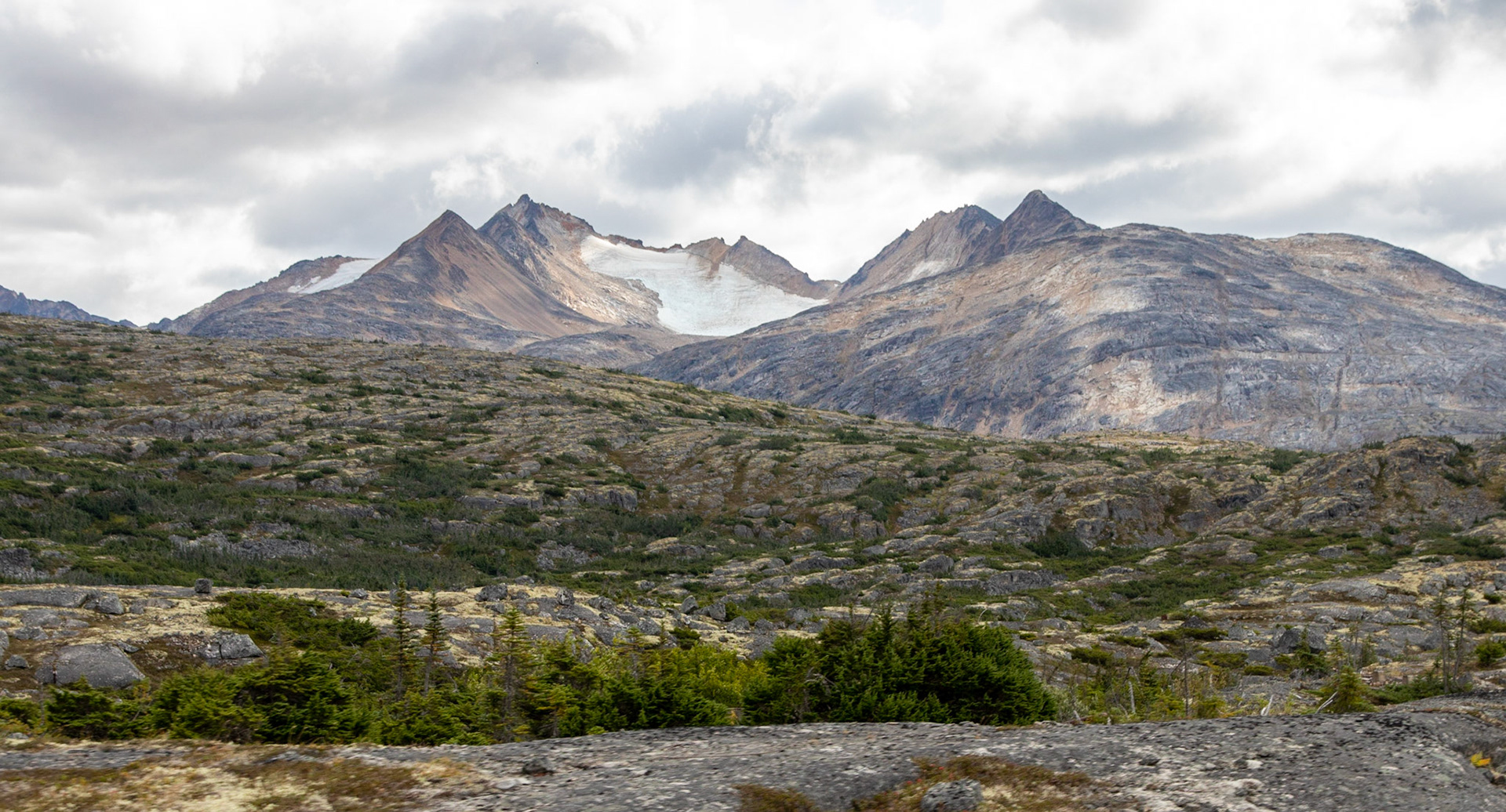 A view of the many glaciers north of the White Pass Peak