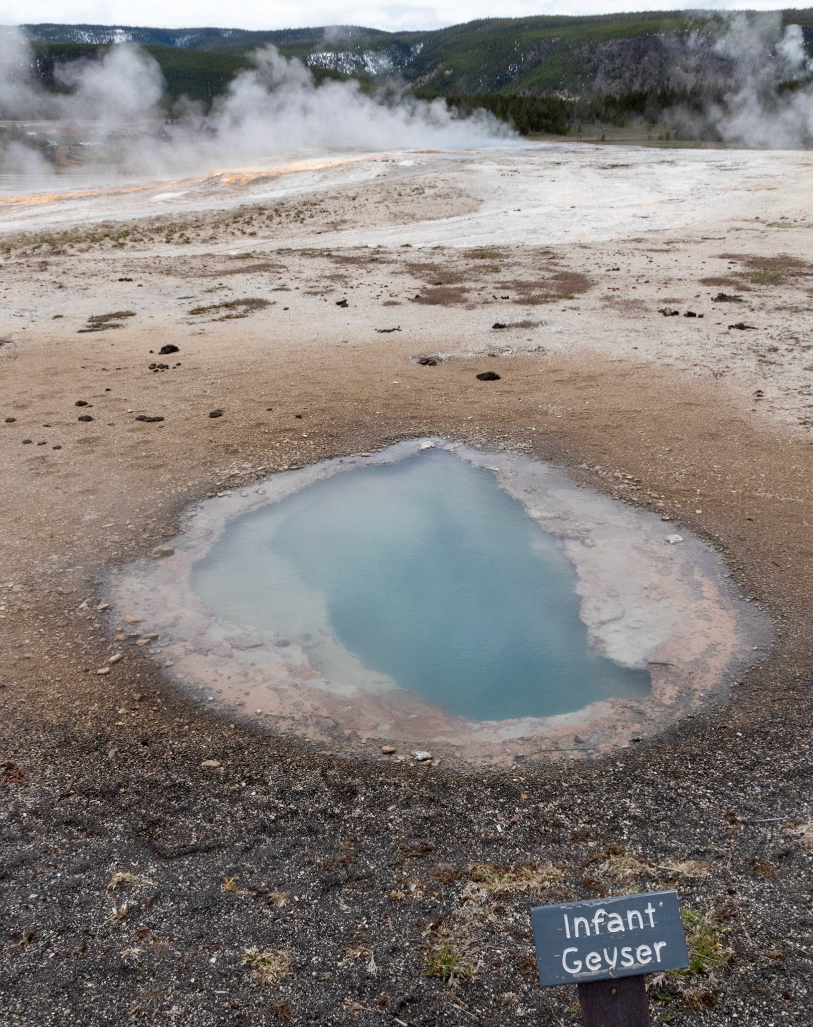Infant Geyser