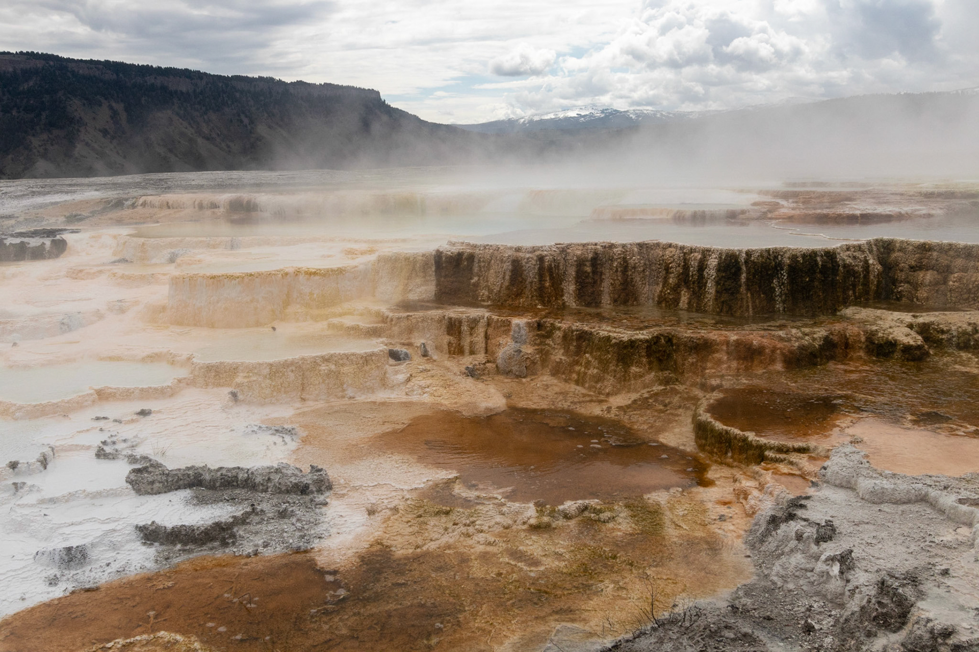 Mammoth Hot Springs Main terrace