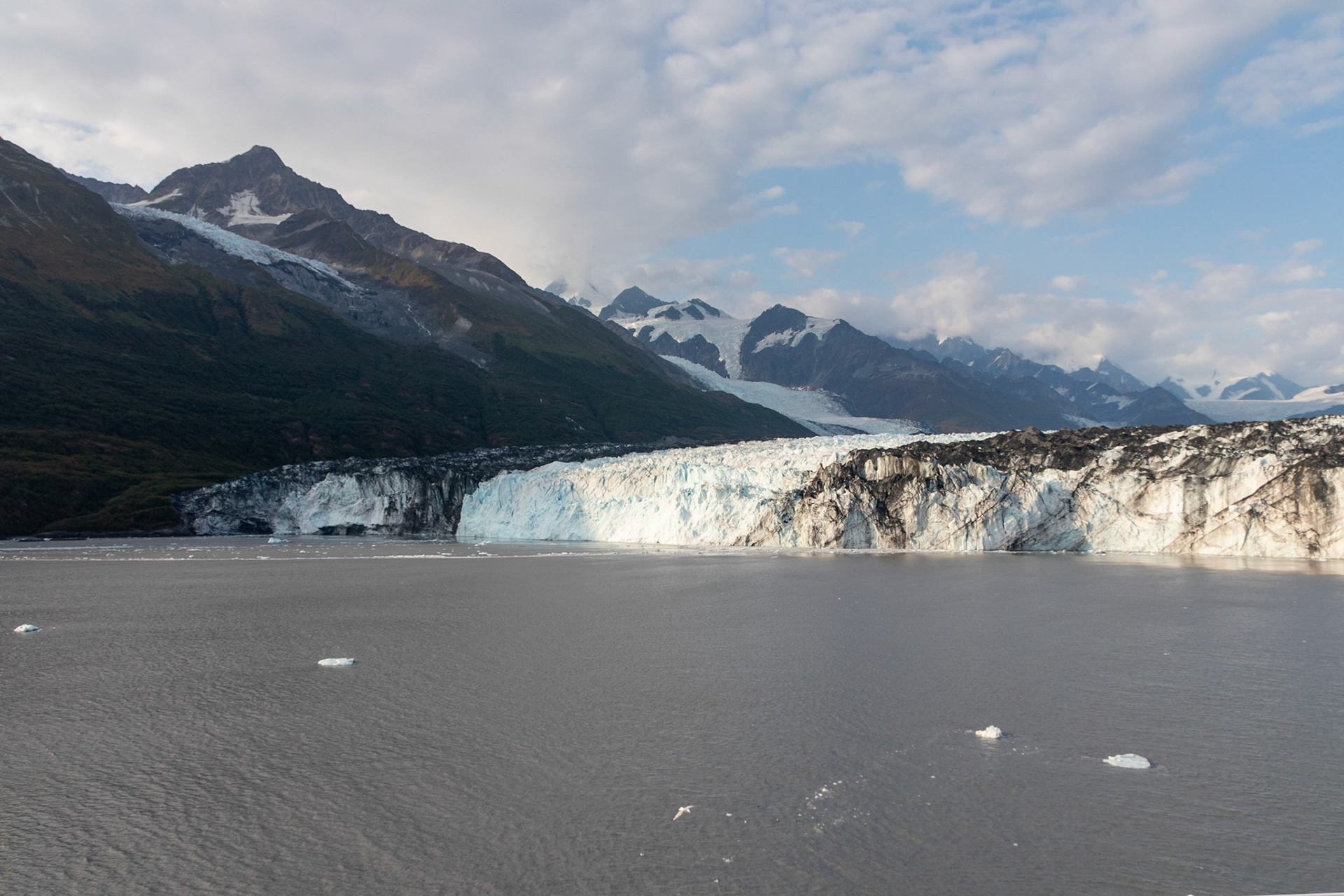 Here you can see some of the face of the Harvard glacier, and its origin into the distance of the upper left of the photo.