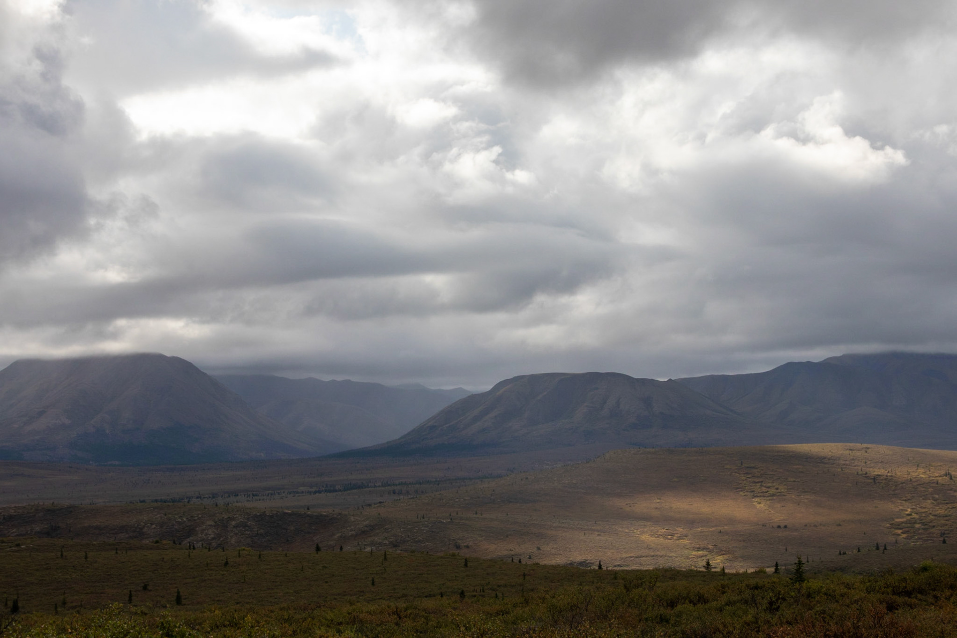 View of Denali National Park