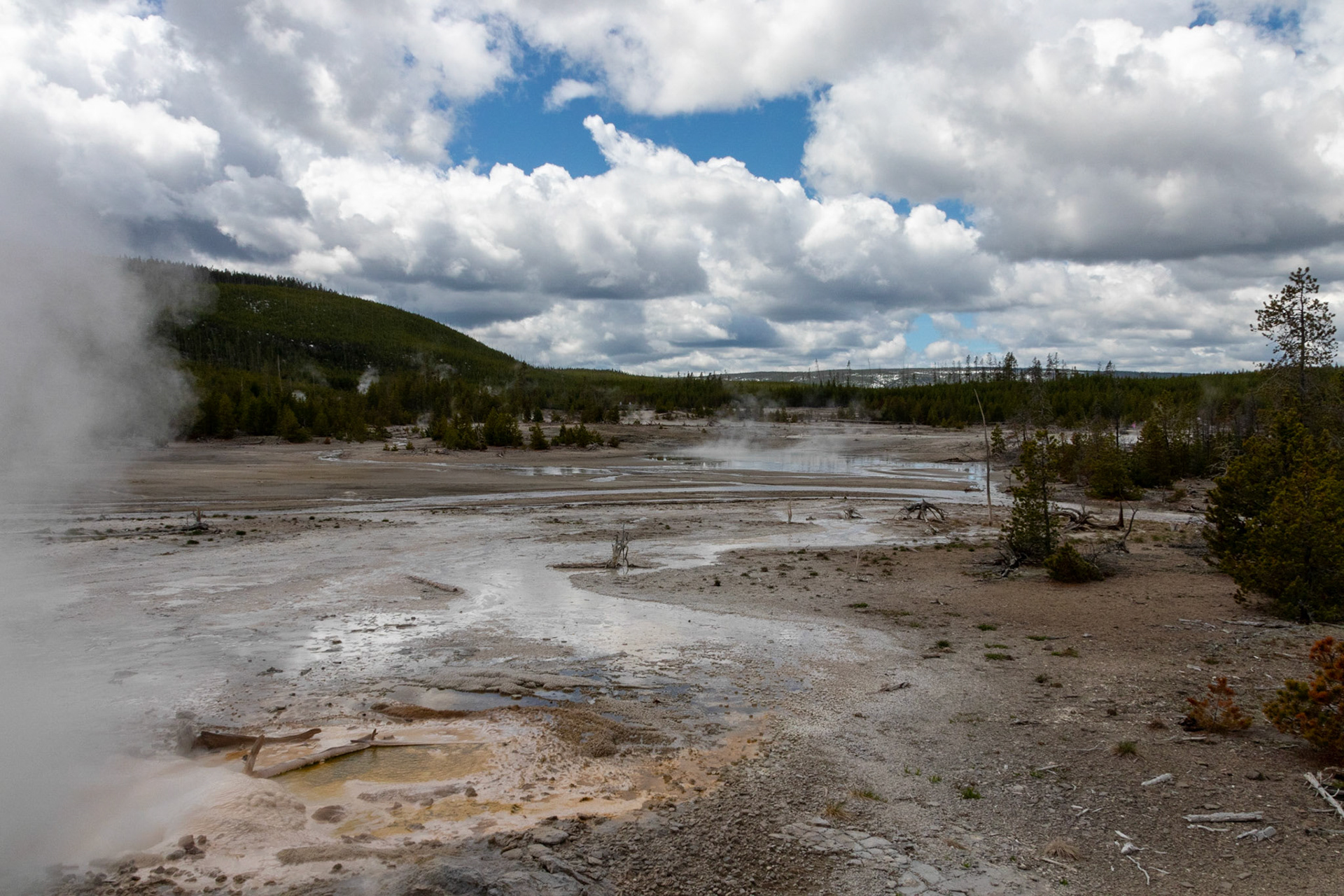 The Norris Lower Basin
