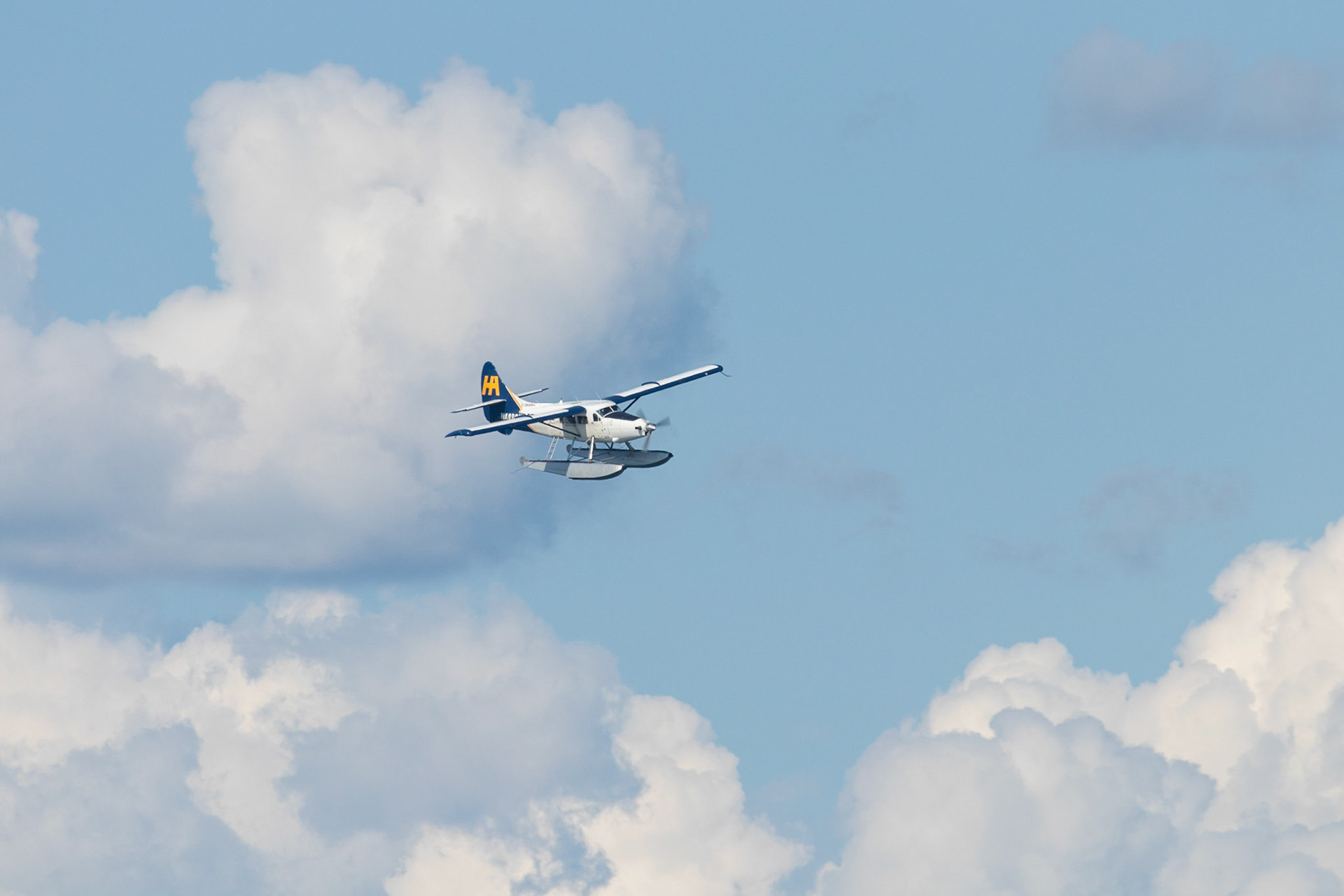 One of the many Harbour Air flights seen around the Harbour. Harbour Air offers both tours, and flights between destinations in the area.