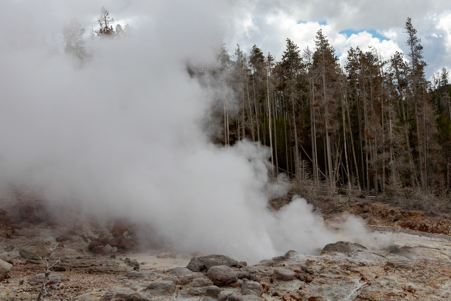 Steamboat Geyser in one of it's long-running lower-powered reuptions.