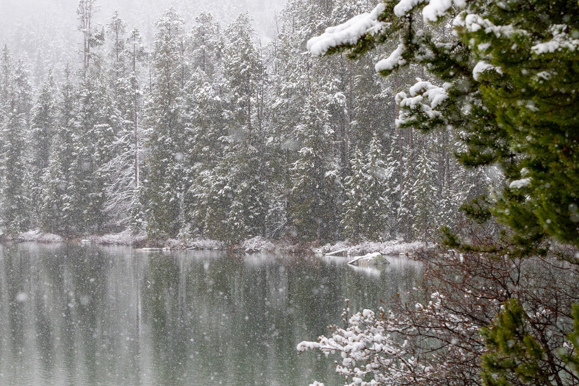 One of the smaller lakes between Jackson and Jenny lakes.