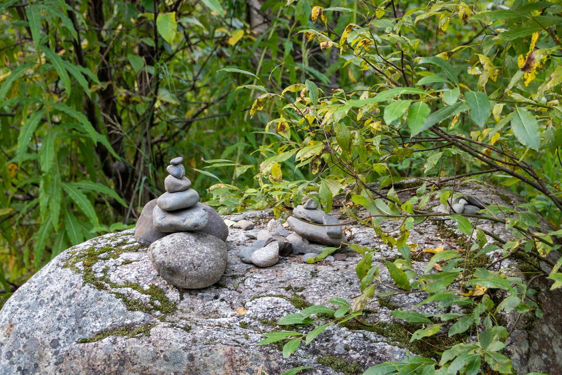 A rock formation or statue found along the Lodge Trail at the McKinley princess lodge. These statues were found all over along trails.