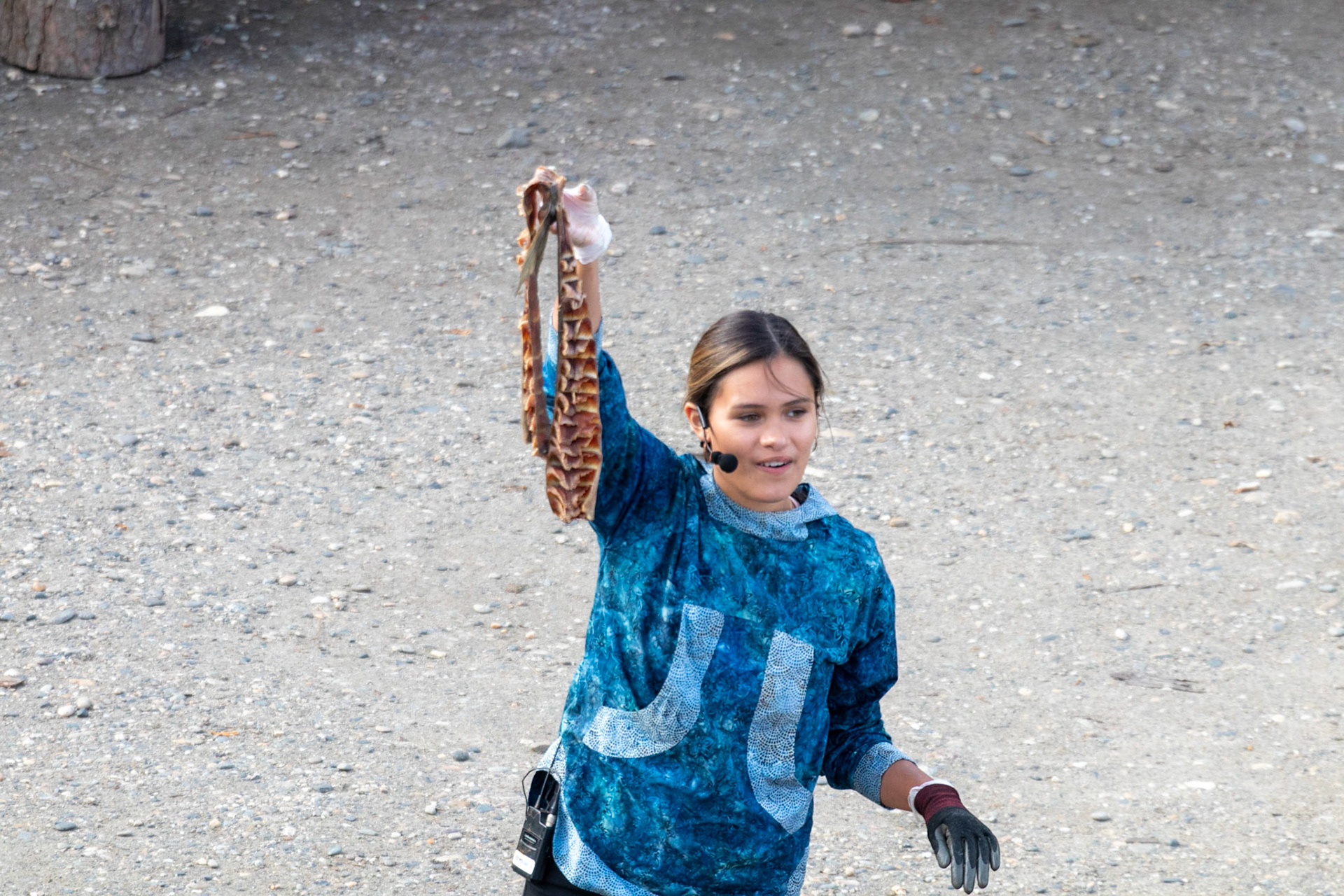 The post smoking product of traditional Chena fishcamp preparation of salmon for their dogs