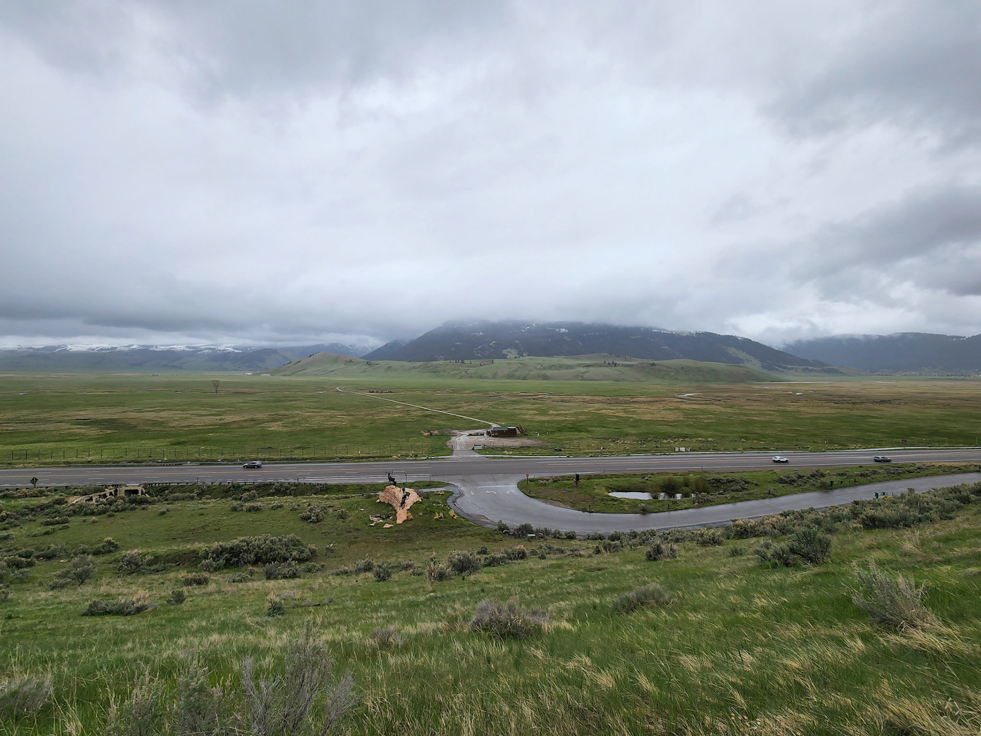 Millers Bute from the National Museum of Wildlife Art