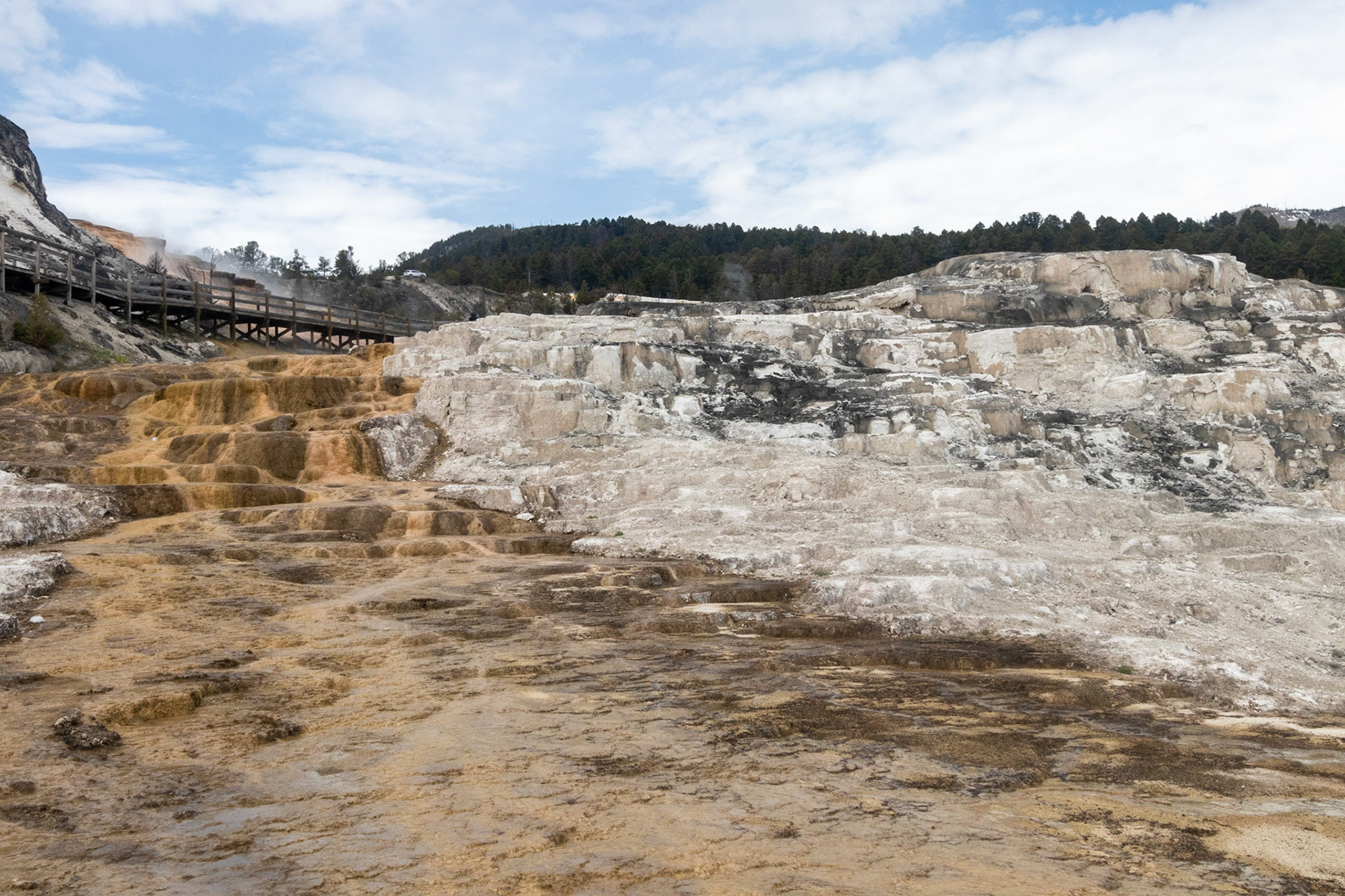 Mammoth Hot Springs Minerva Terrace