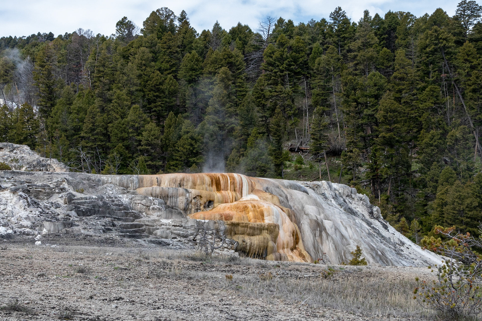 Mammoth Hot Springs Cleopatra Terrace