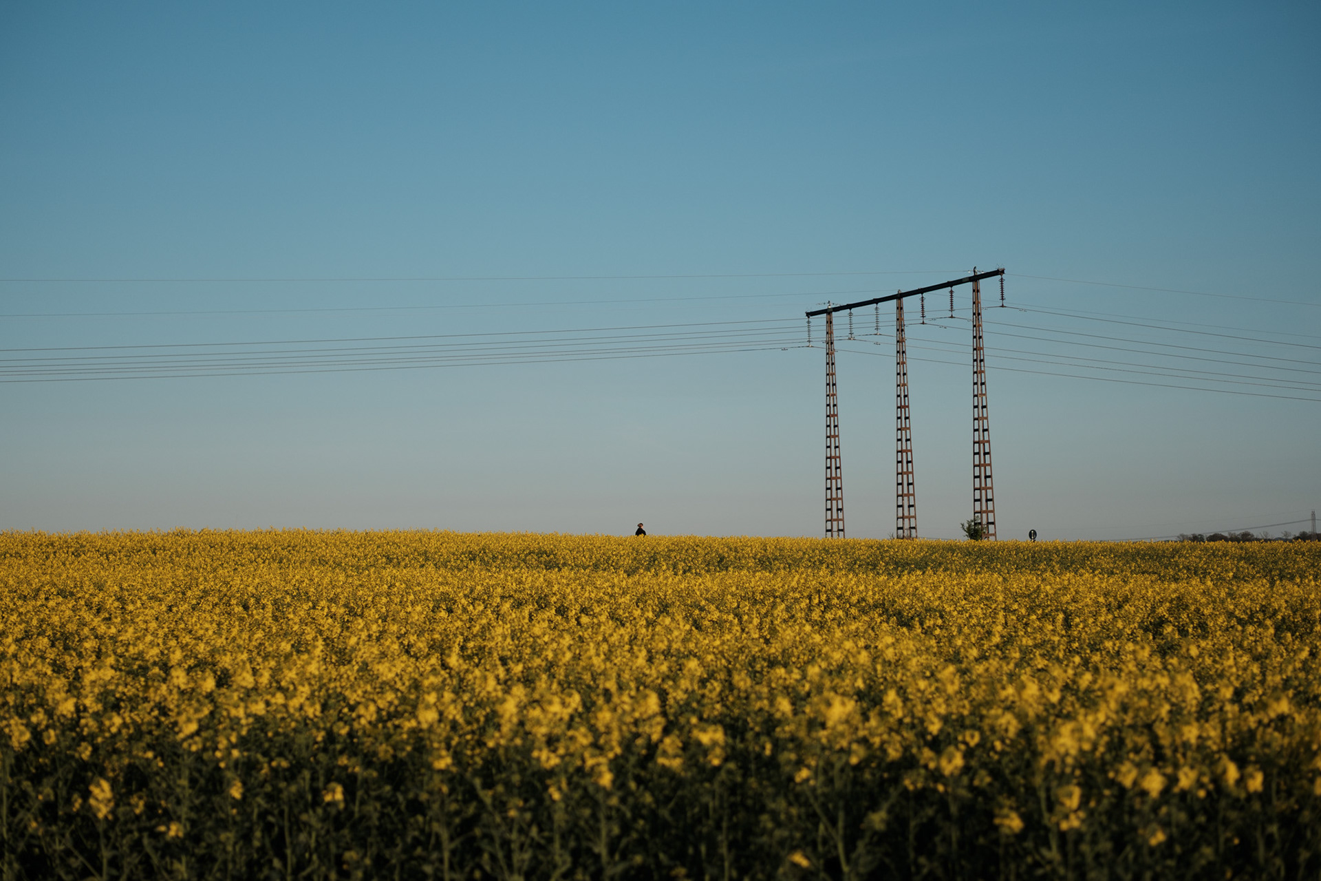 Stora Råby Byaväg, Lund, SWEDEN,  april 2025