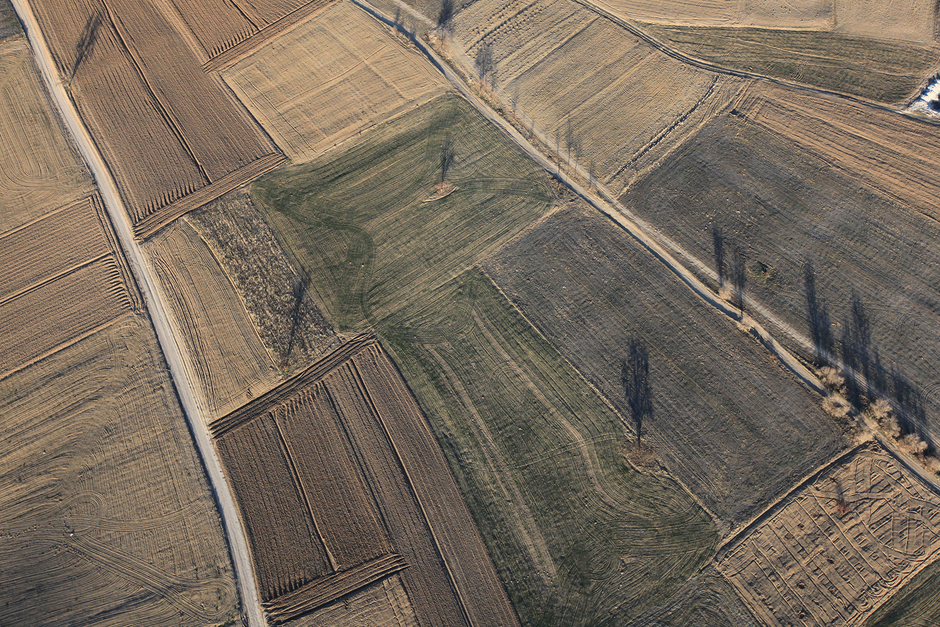 Earth surface