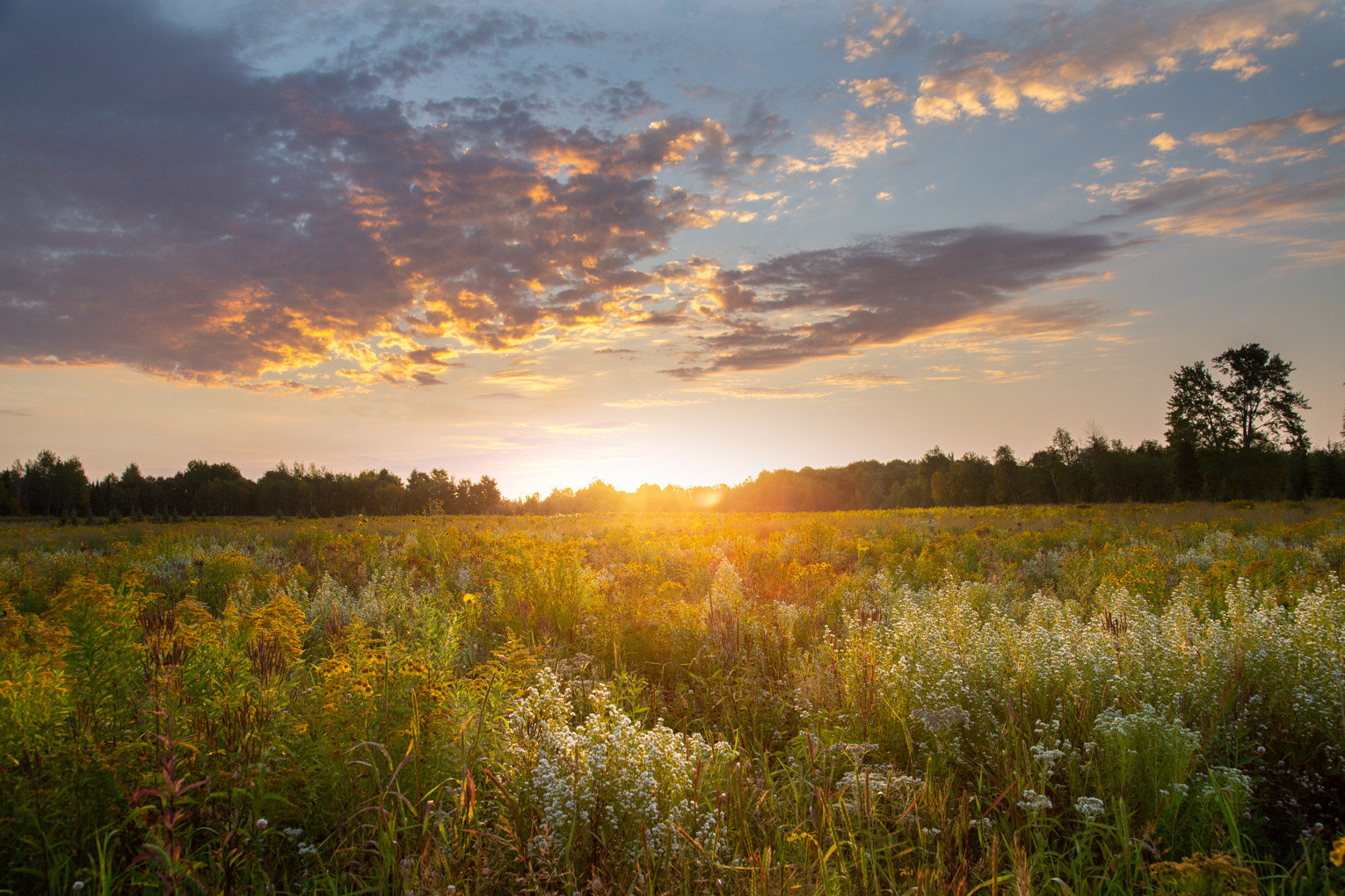 Borders a large block of County Forest to venture off into and expand your hunting opportunities