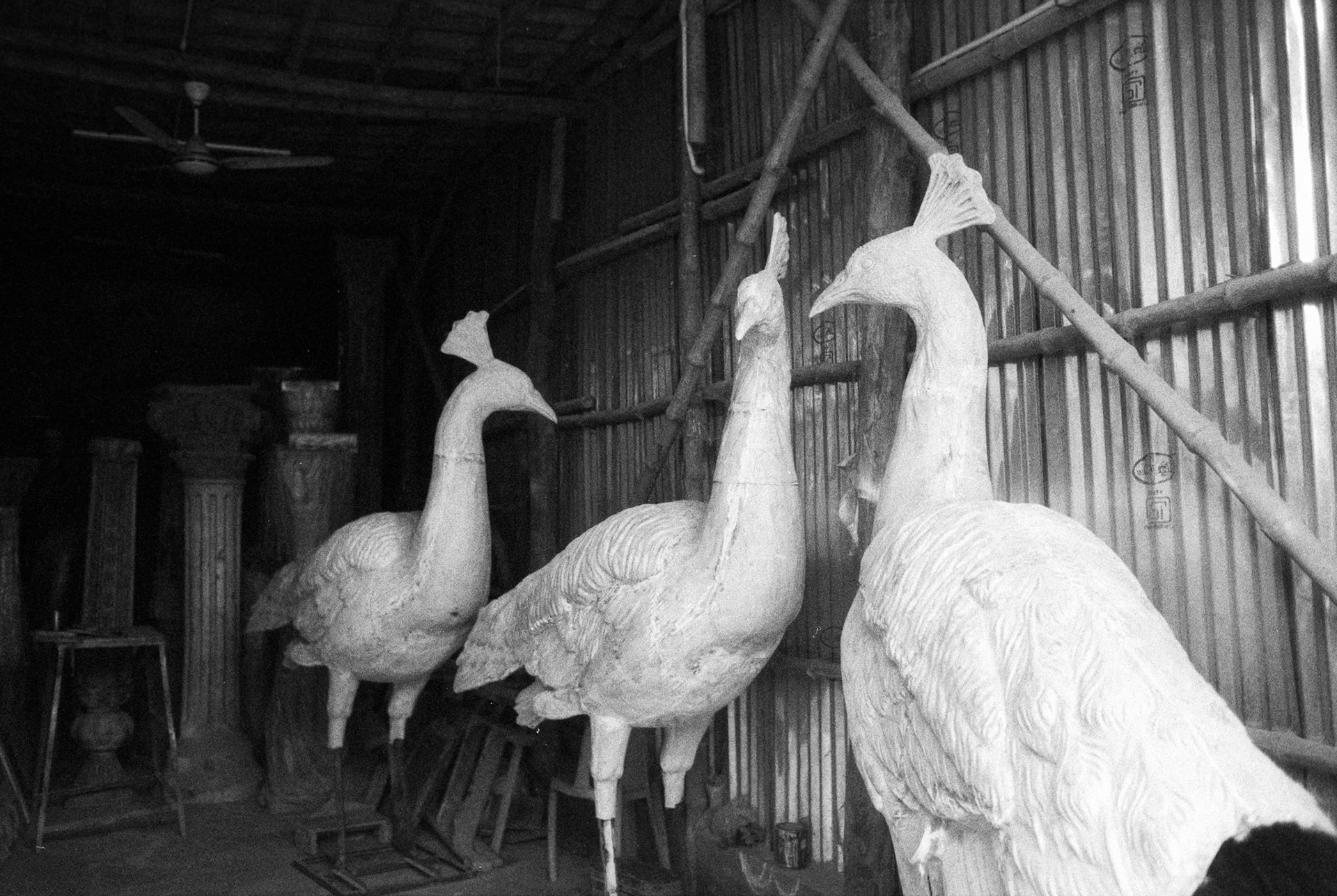 Nikon Nikon FA | Nikon Nikon 50mm f/1.4 AI | Foma 400 400 @ 1000, +2 devDigitized with Canon 700D - Nikkor 60 AF-DLab developed in D-76 Stock