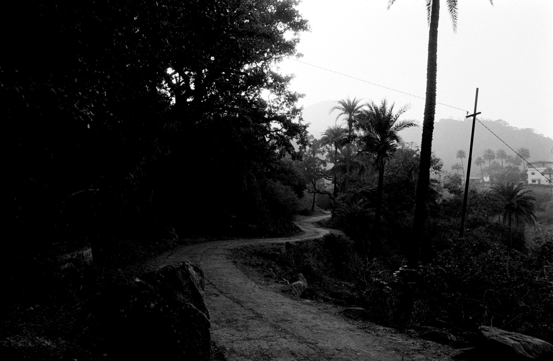 Nikkor 28mm f/2.8D | Nikon FM | Kodak XX