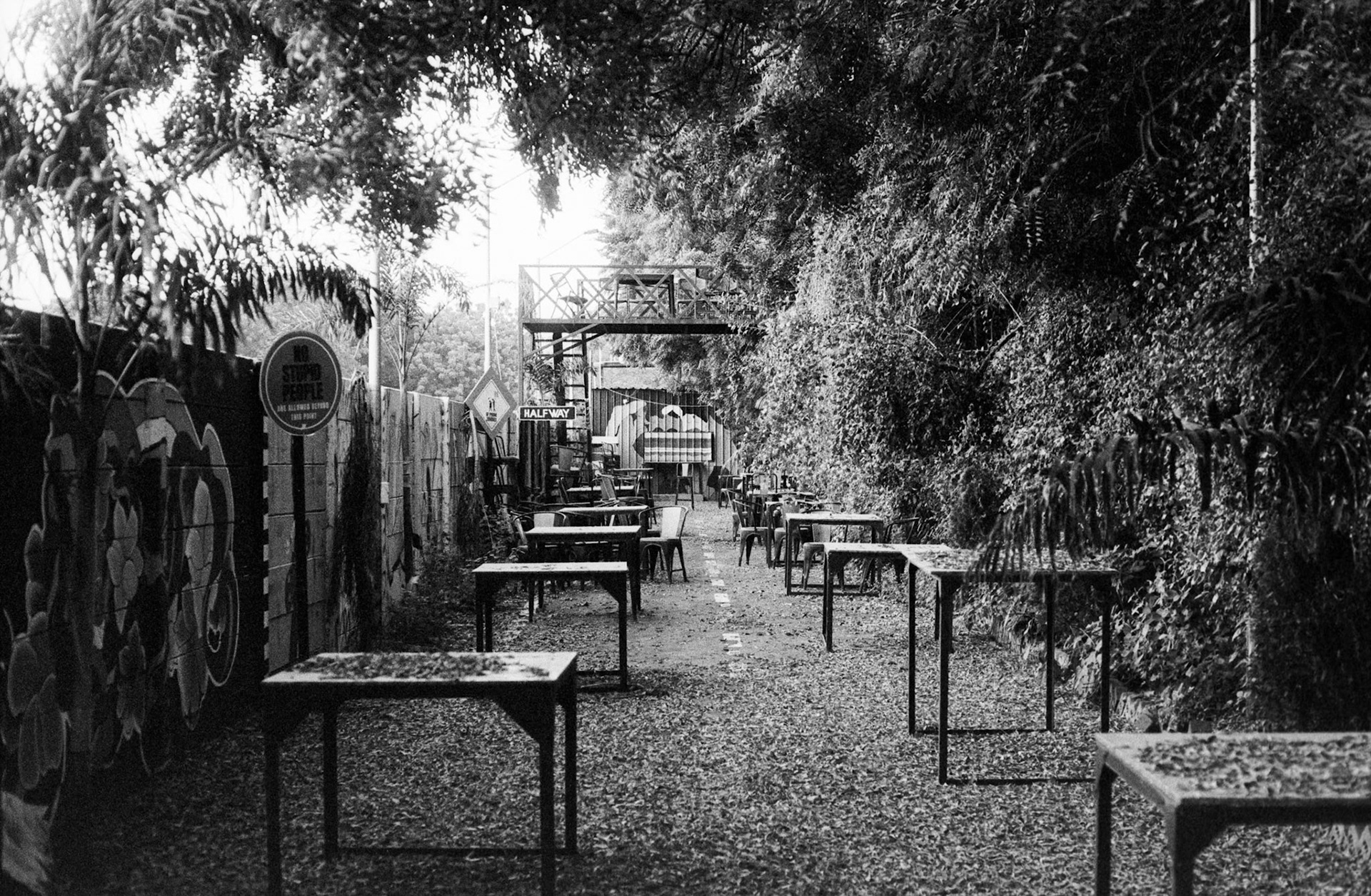 Nikon Nikon FA | Nikkor 50mm f/1.4 AI | XX 250 @ 1600; Developed at gufa.labs