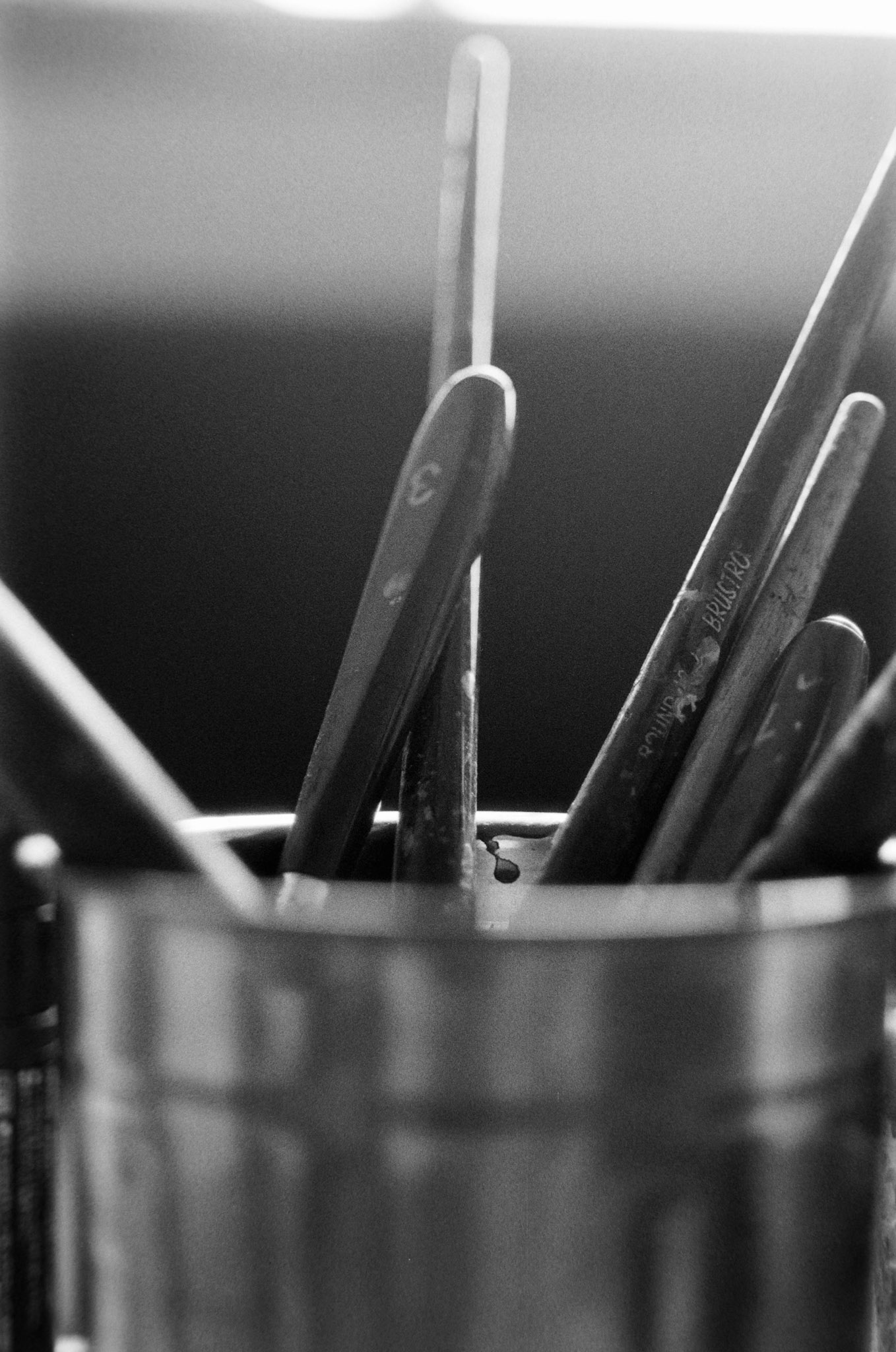 Micro Nikkor 60mm f/2.8D Lens | Nikon FM | HP5+ 400 @ 320