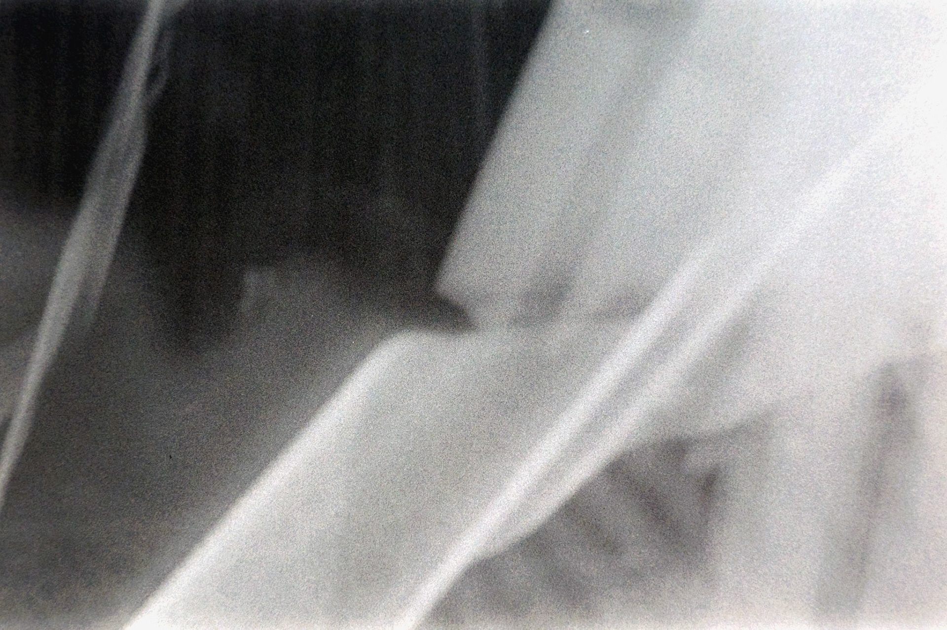 Zeiss Contaflex II | Orwo UN54 @100 | Developed at Lazy FIlm Lab