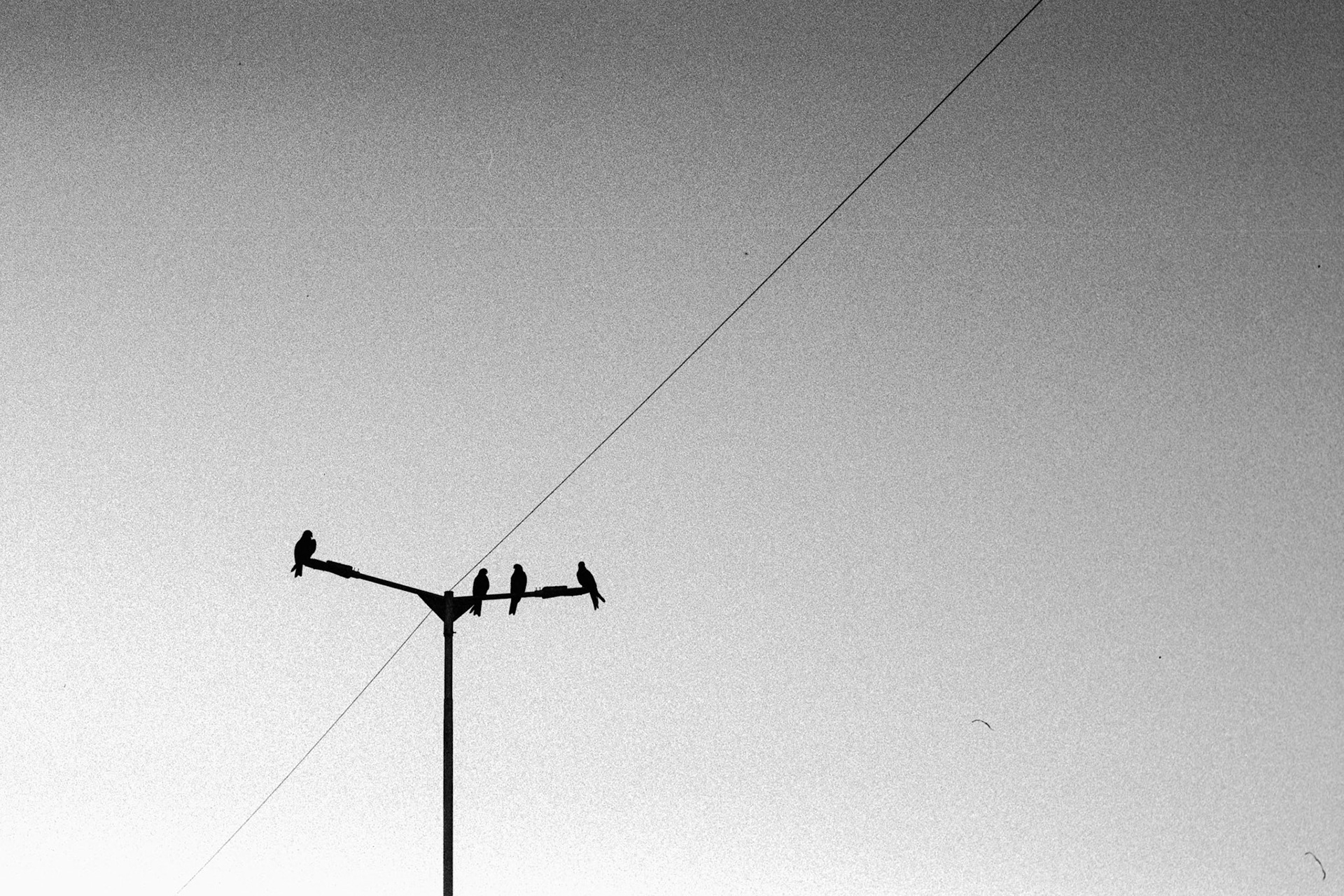 Nikon Nikon FA | Nikkor 50mm f/1.4 AI | XX 250 @ 1600; Developed at gufa.labs