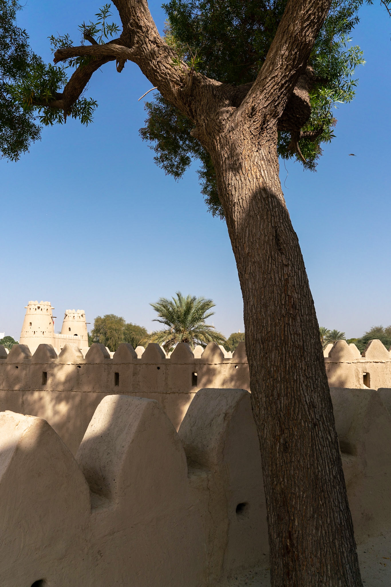 Al Jahili Fort in Al Ain in Abu Dhabi in the United Arab Emirates  (UAE).