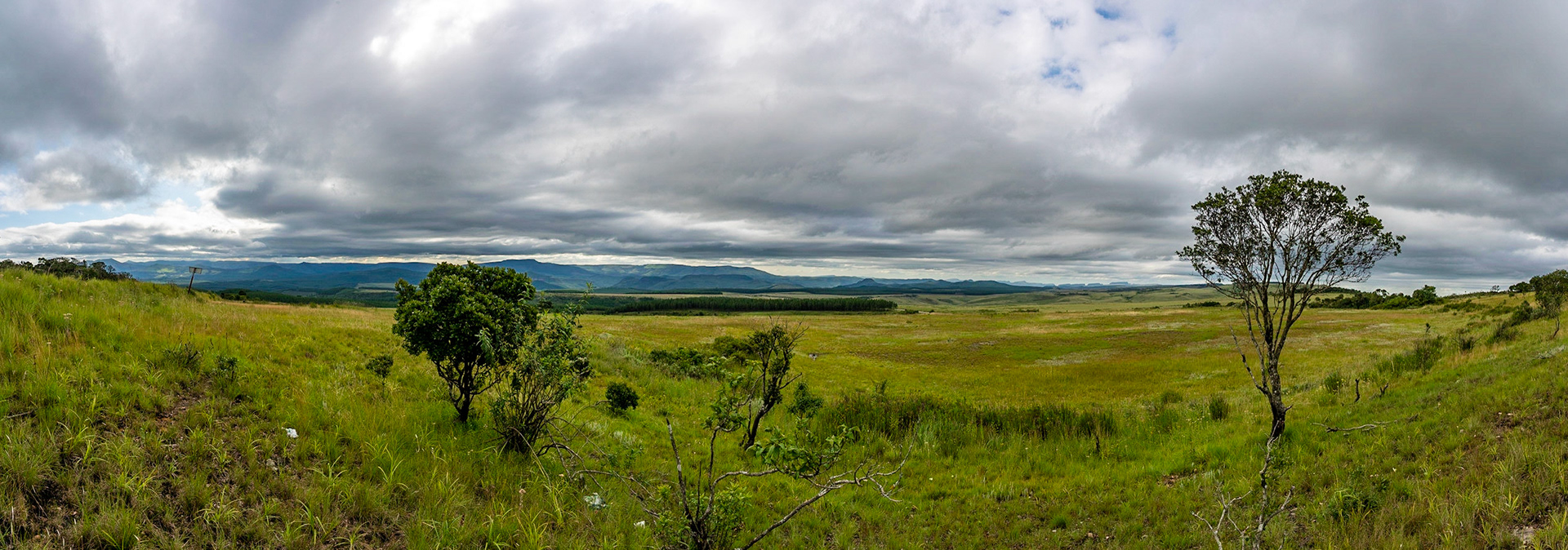 View from Wonder View in South Africa