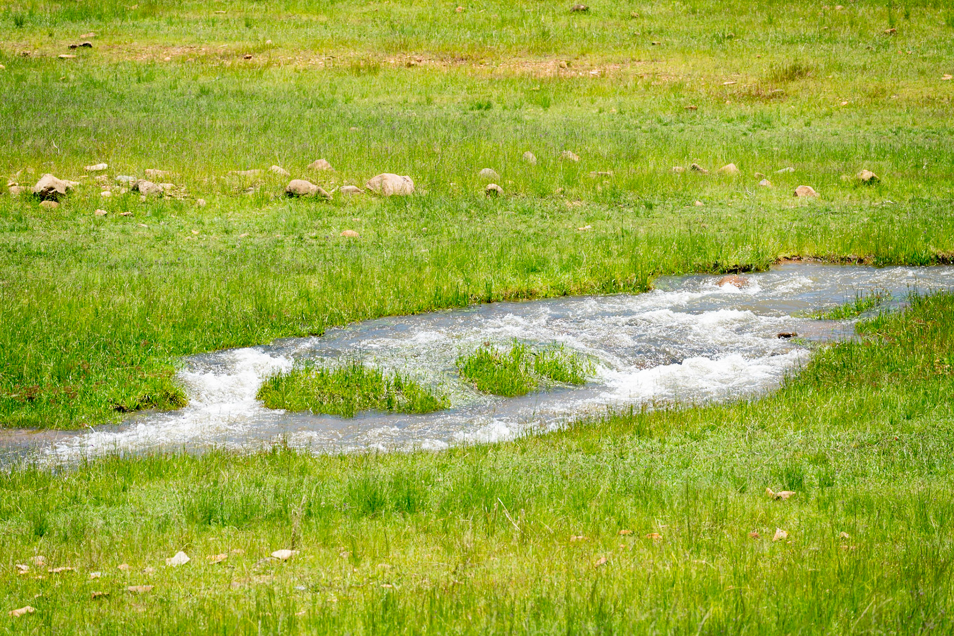 River water flowing into Ohrigstad Dam reservoir in Ohrigstad Dam Nature Reserve (South Africa)