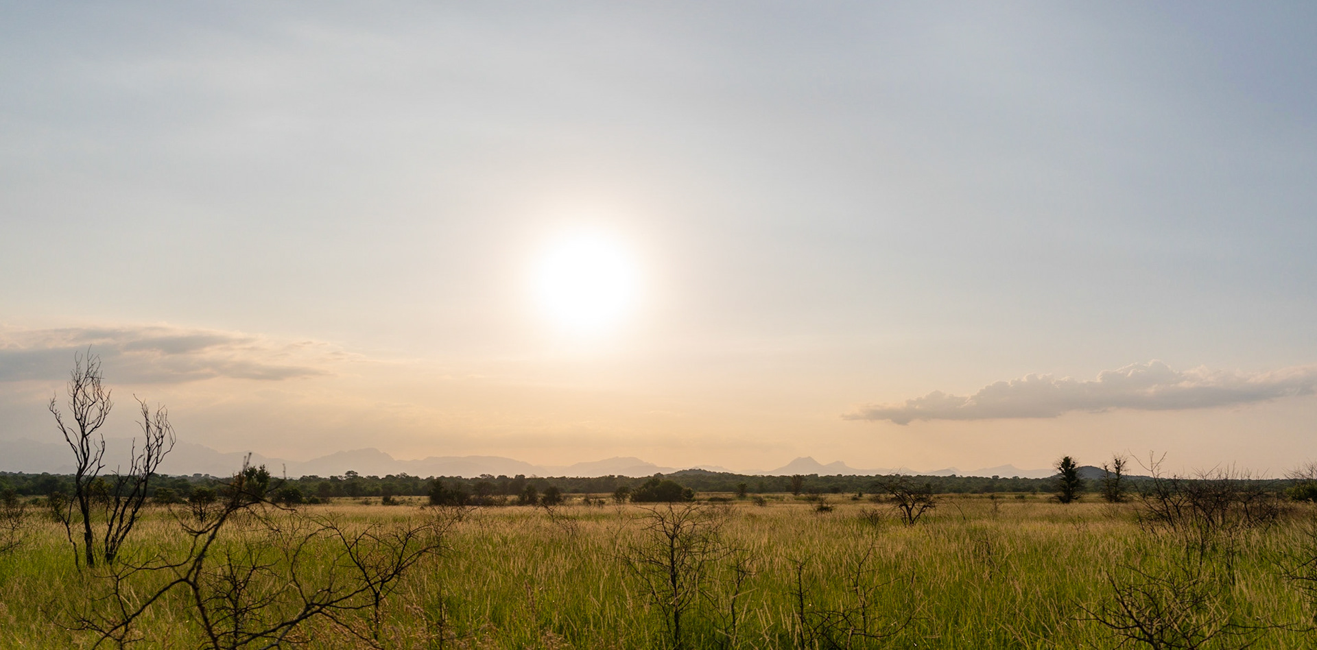 Sunset over the plains of grass and forest towards Drakensbergen outside of Hoedspruit close to Kruger National Park in South Africa