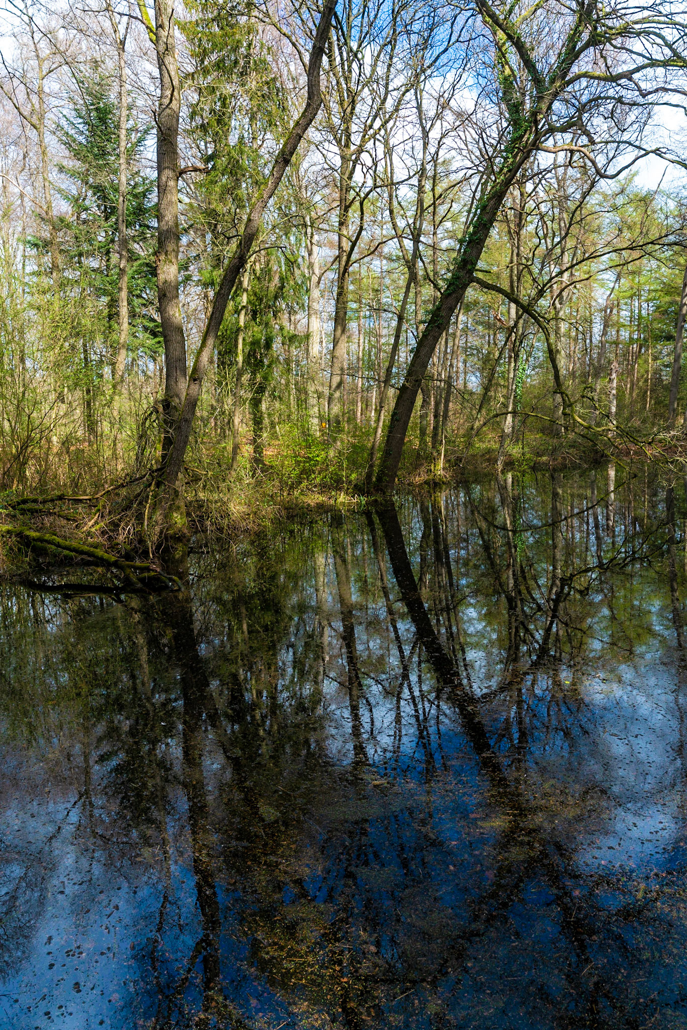Remnants of natural swimming pool in Estate Zelle, The Netherlands