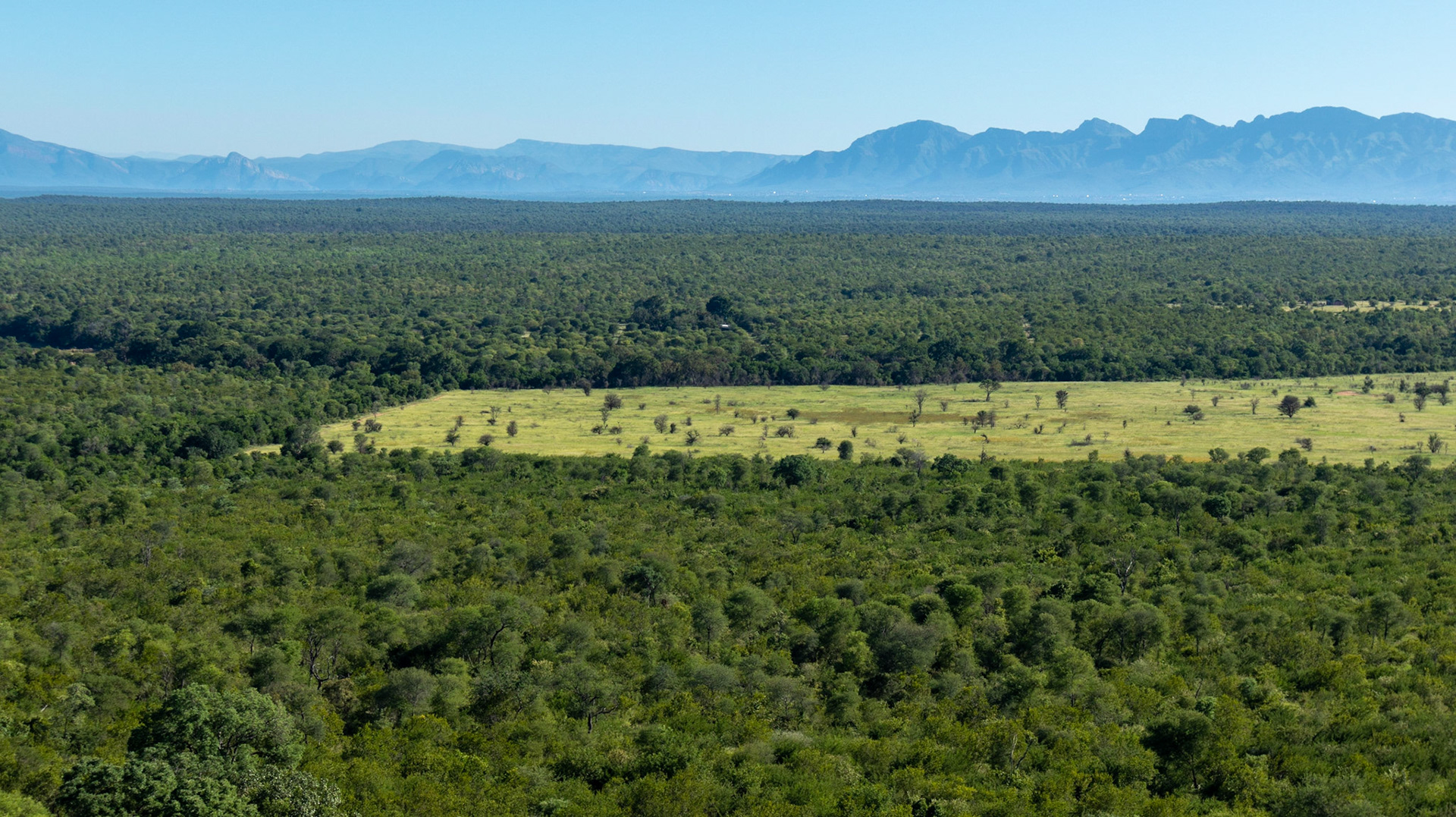 View over savannah and forest in South Africa near Kruger National park towards Drakensbergen outside of Hoedspruit.