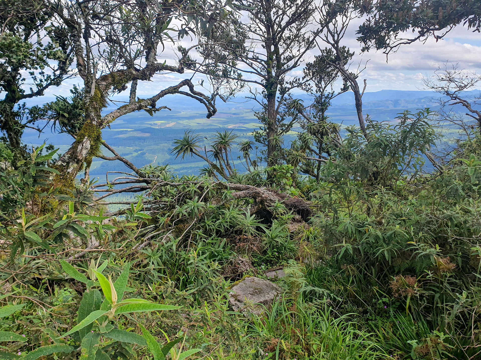 View from God's Window near Graskop in South Africa