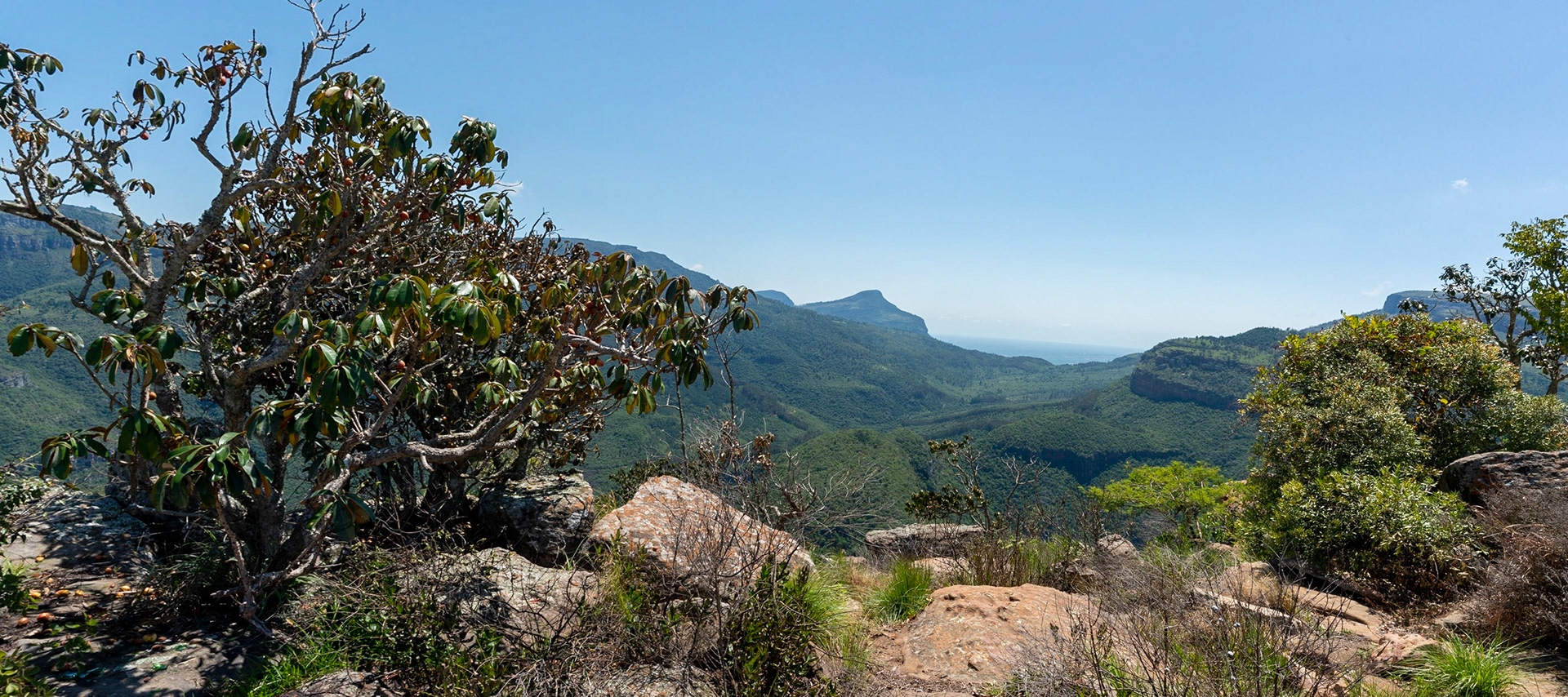 View over Blyde Canyon near Hoedspruit in South Africa.