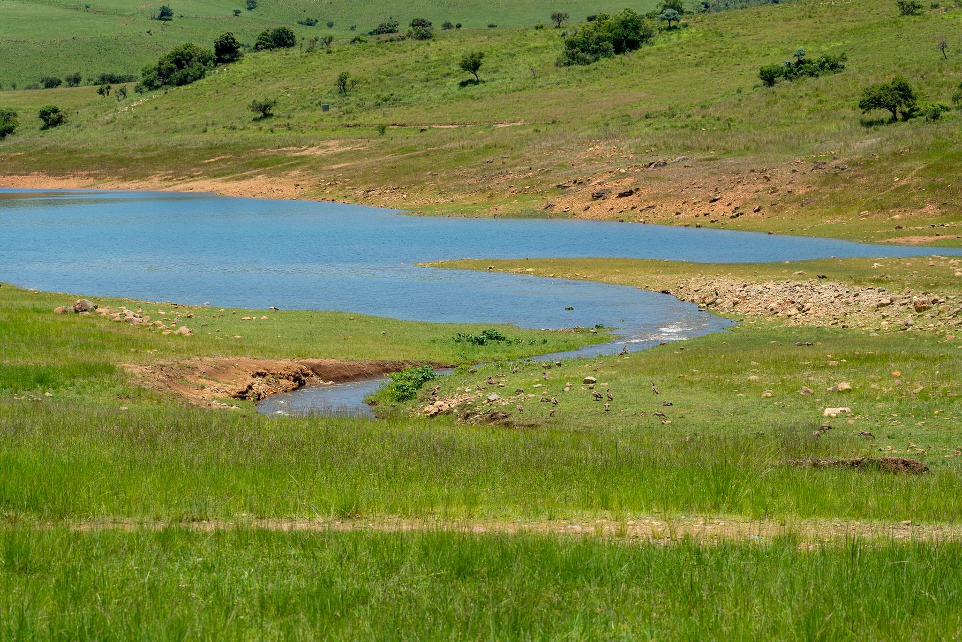 View over Ohrigstaddam reservoir in South Africa,
