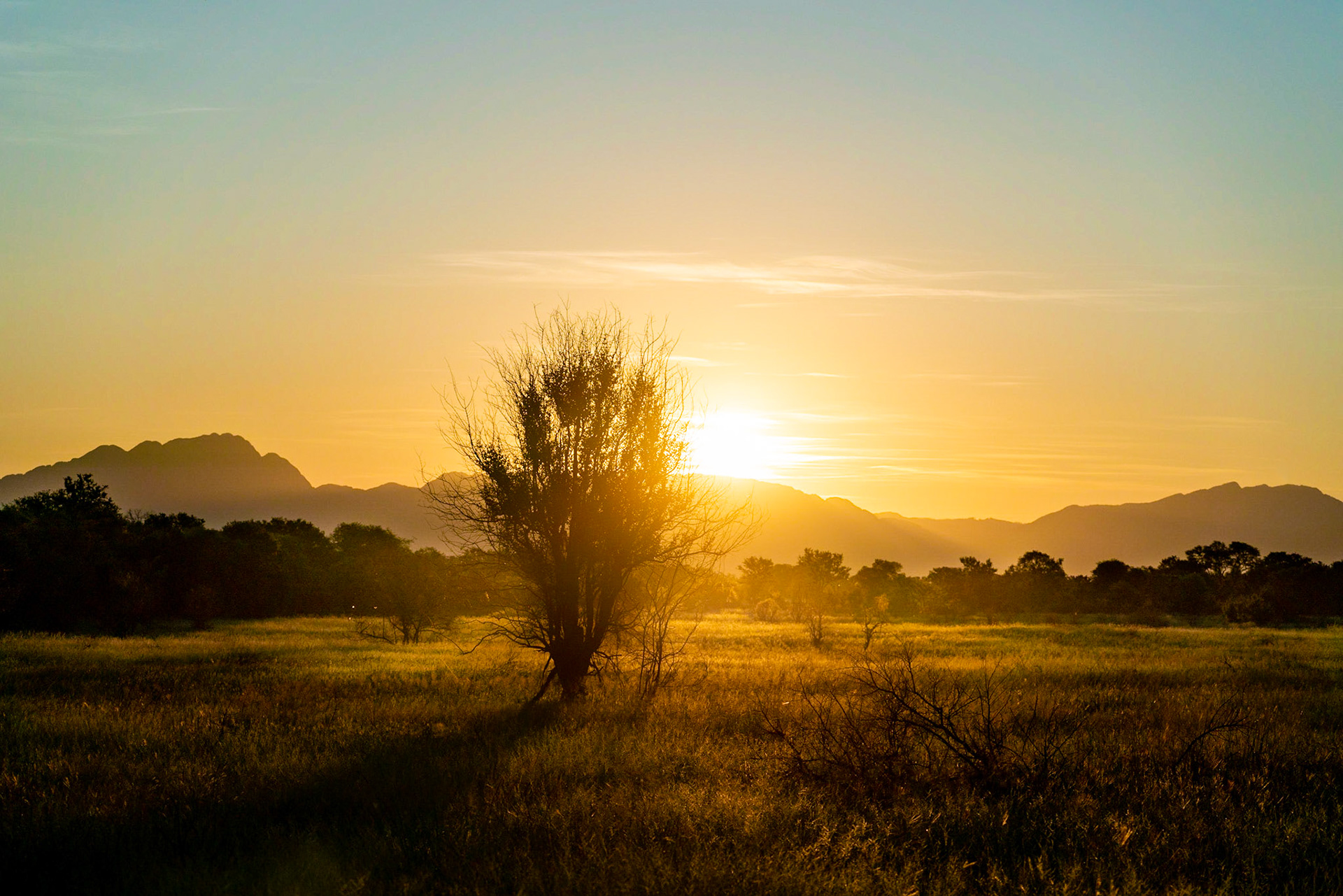 View over savannah in South Africa near Kruger National park.