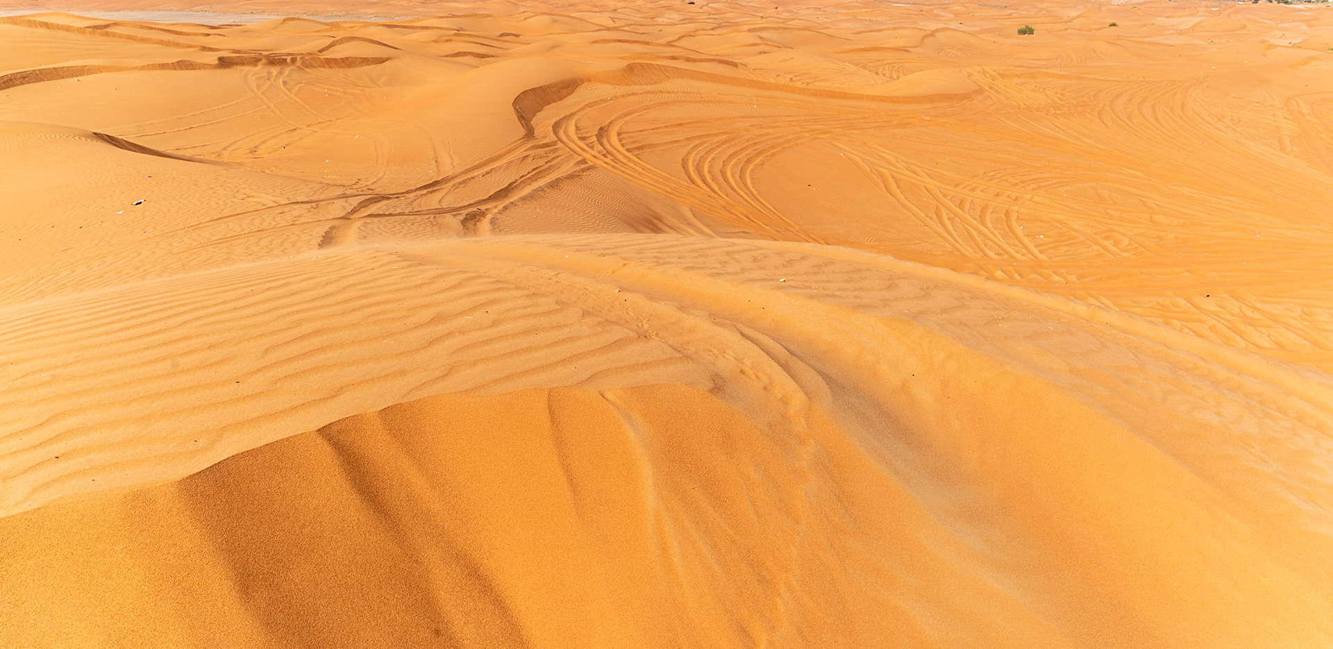 Desert sands outside of Al Ain in Abu Dhabi (UAE)