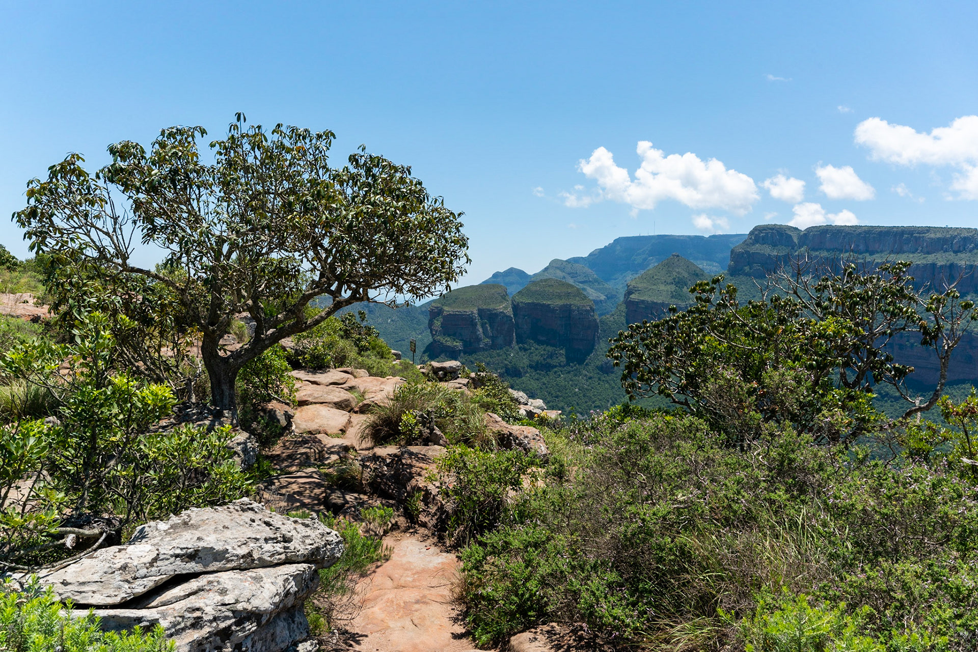 View over Blyde Canyon near Hoedspruit in South Africa with view over Three Roundavels