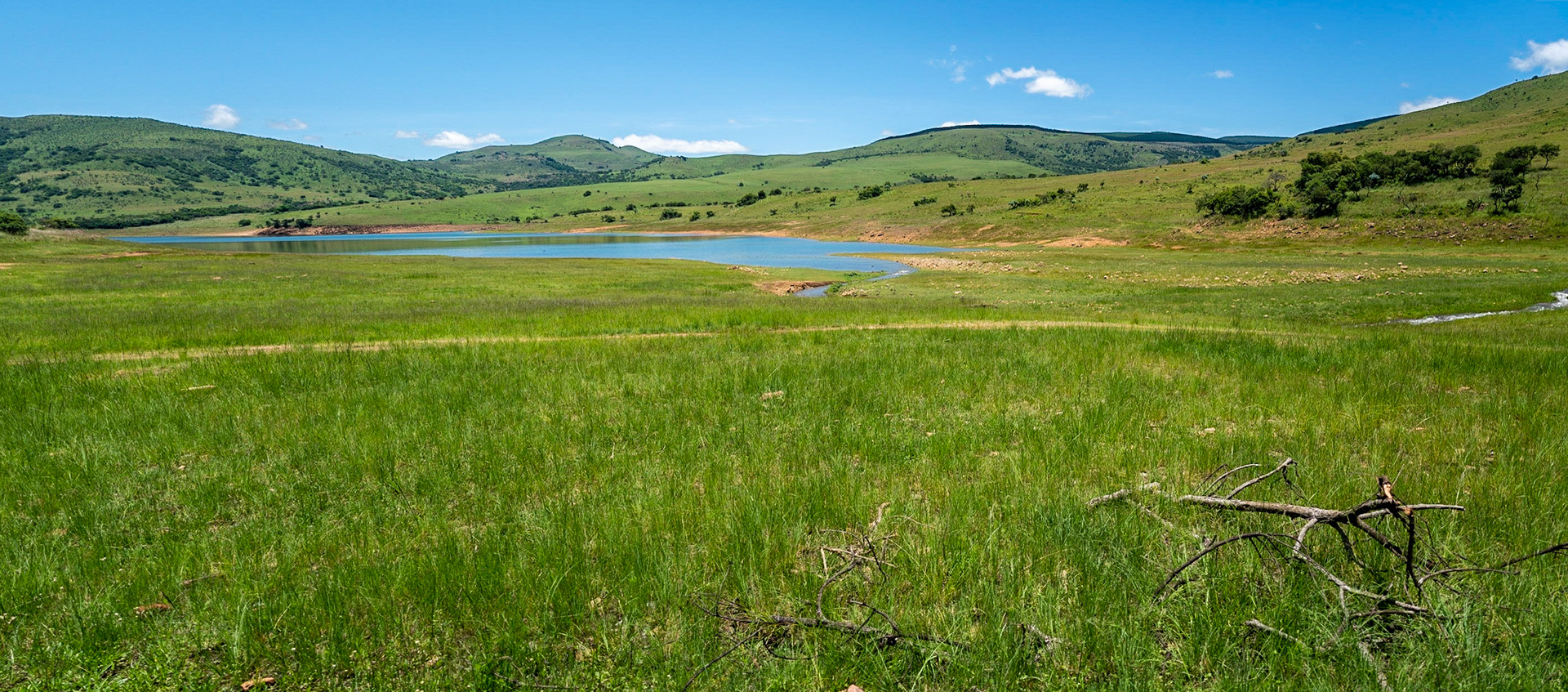 View over Ohrigstaddam reservoir in South Africa,