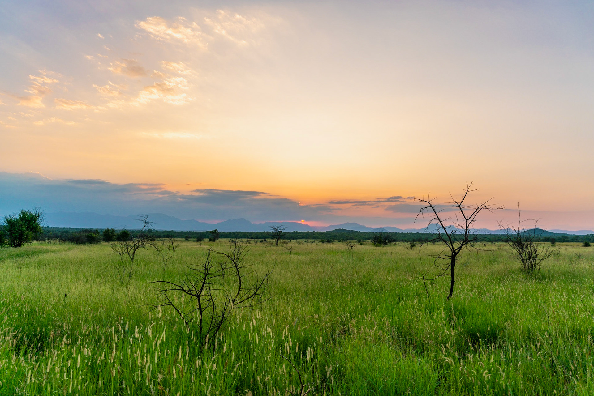 Sunset over the plains of grass and forest towards Drakensbergen outside of Hoedspruit close to Kruger National Park in South Africa