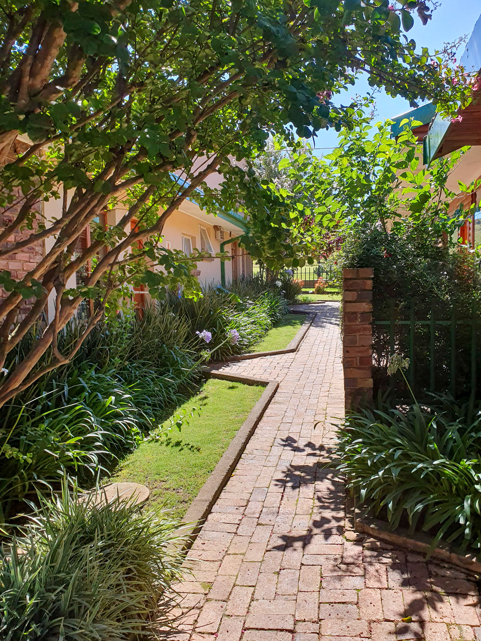 Garden in Lydenburg (South Africa)