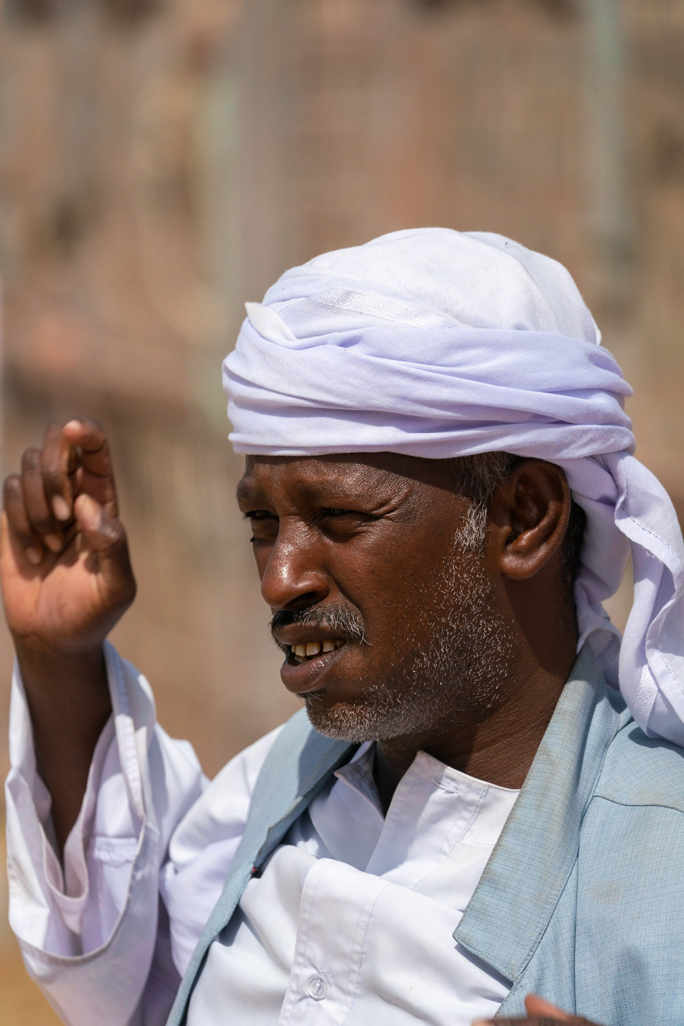 Camel market in al Ain in UAE (Abu Dhabi)