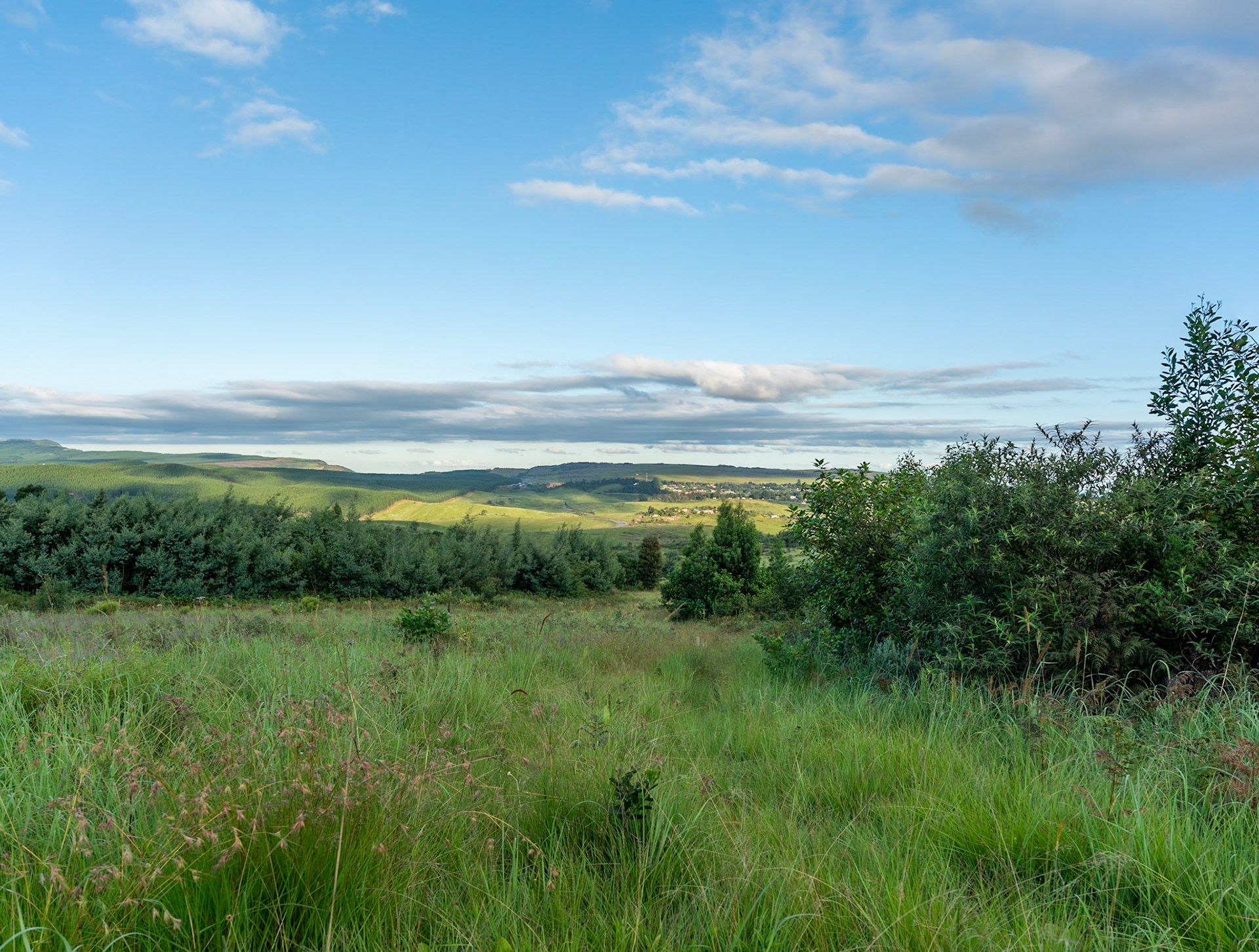 View over countryside outside of Graskop in South Africa