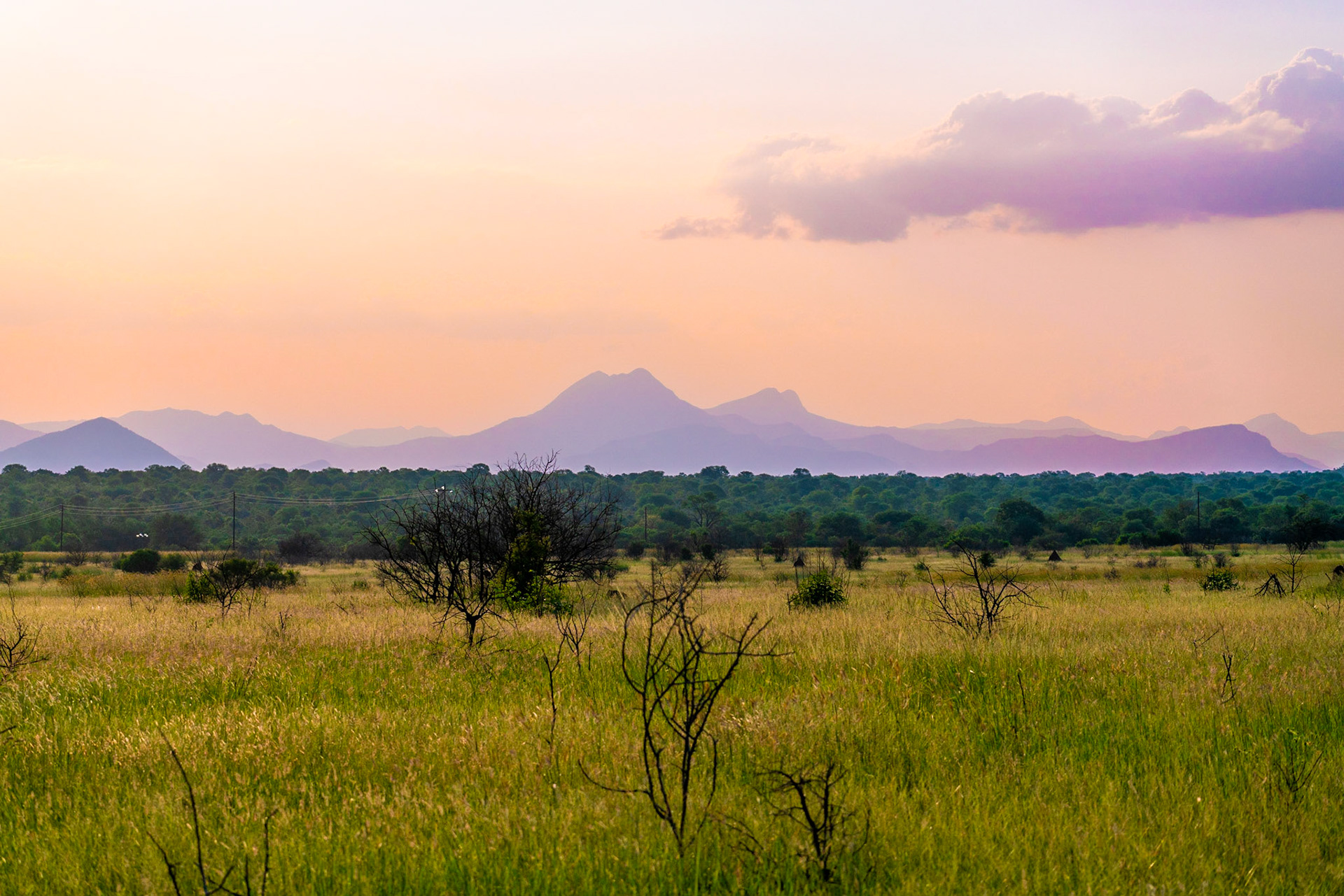 Sunset over the plains of grass and forest towards Drakensbergen outside of Hoedspruit close to Kruger National Park in South Africa