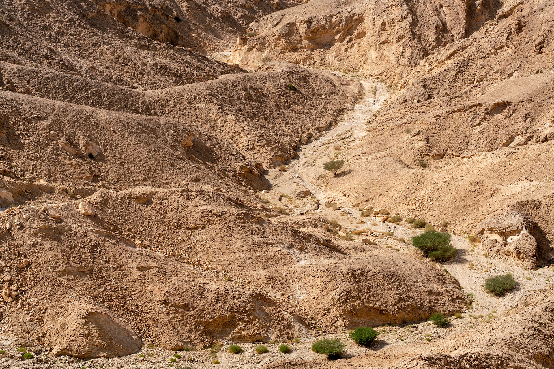 View from Jebel Hafeet in al Ain (UAE, Abu Dhabi)