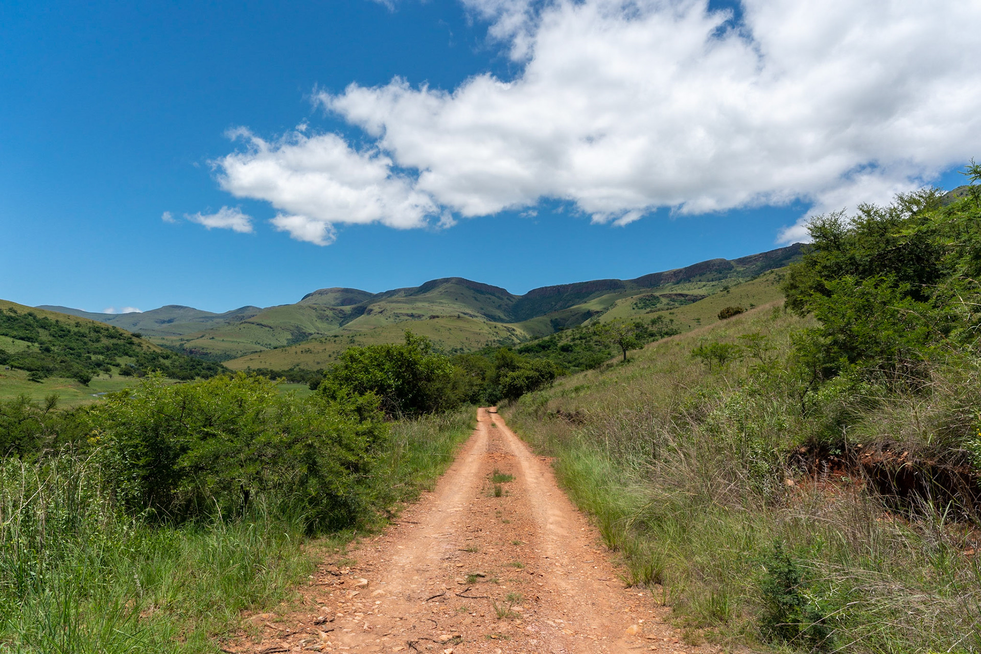 Road leading to Ohrigstaddam in South Africa, a dam and nature reserve.