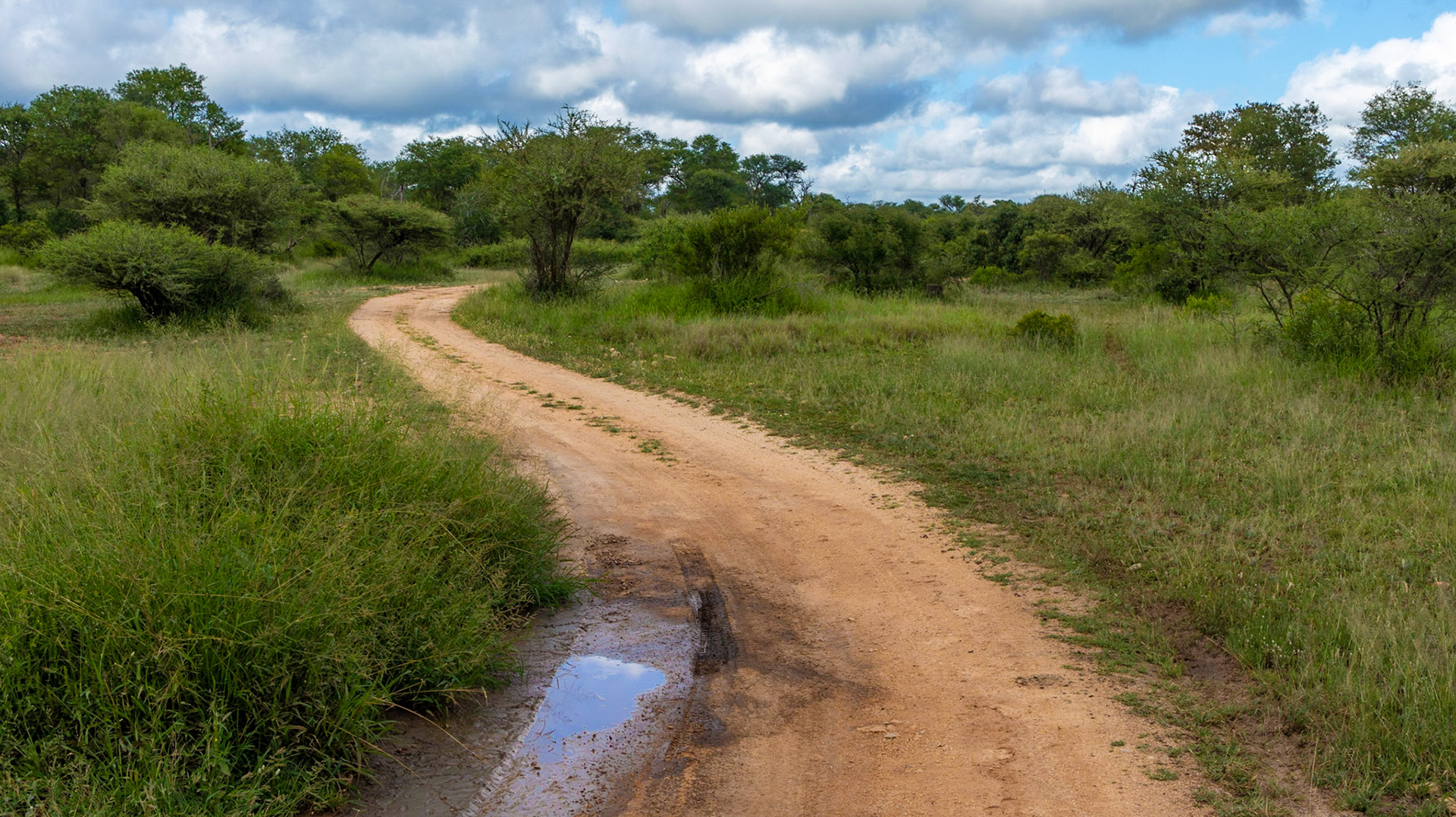 Curved track through a nature reserve in South Africa.